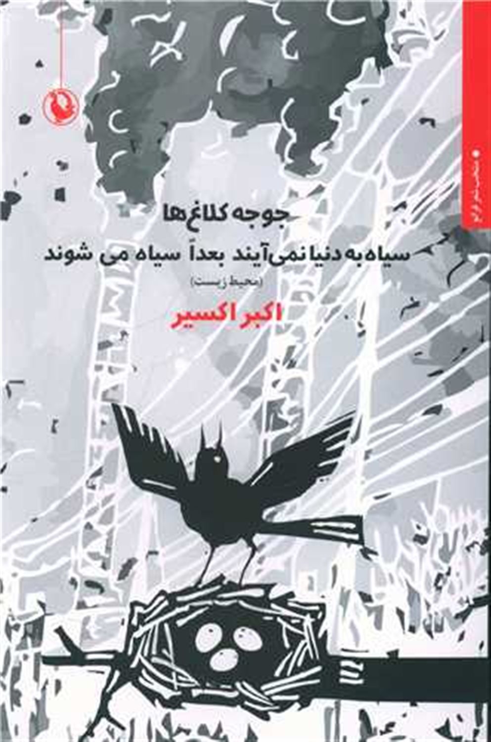 ‏‫جوجه کلاغ‌ها سیاه به دنیا نمی‌آیند بعدا سیاه می‌شوند