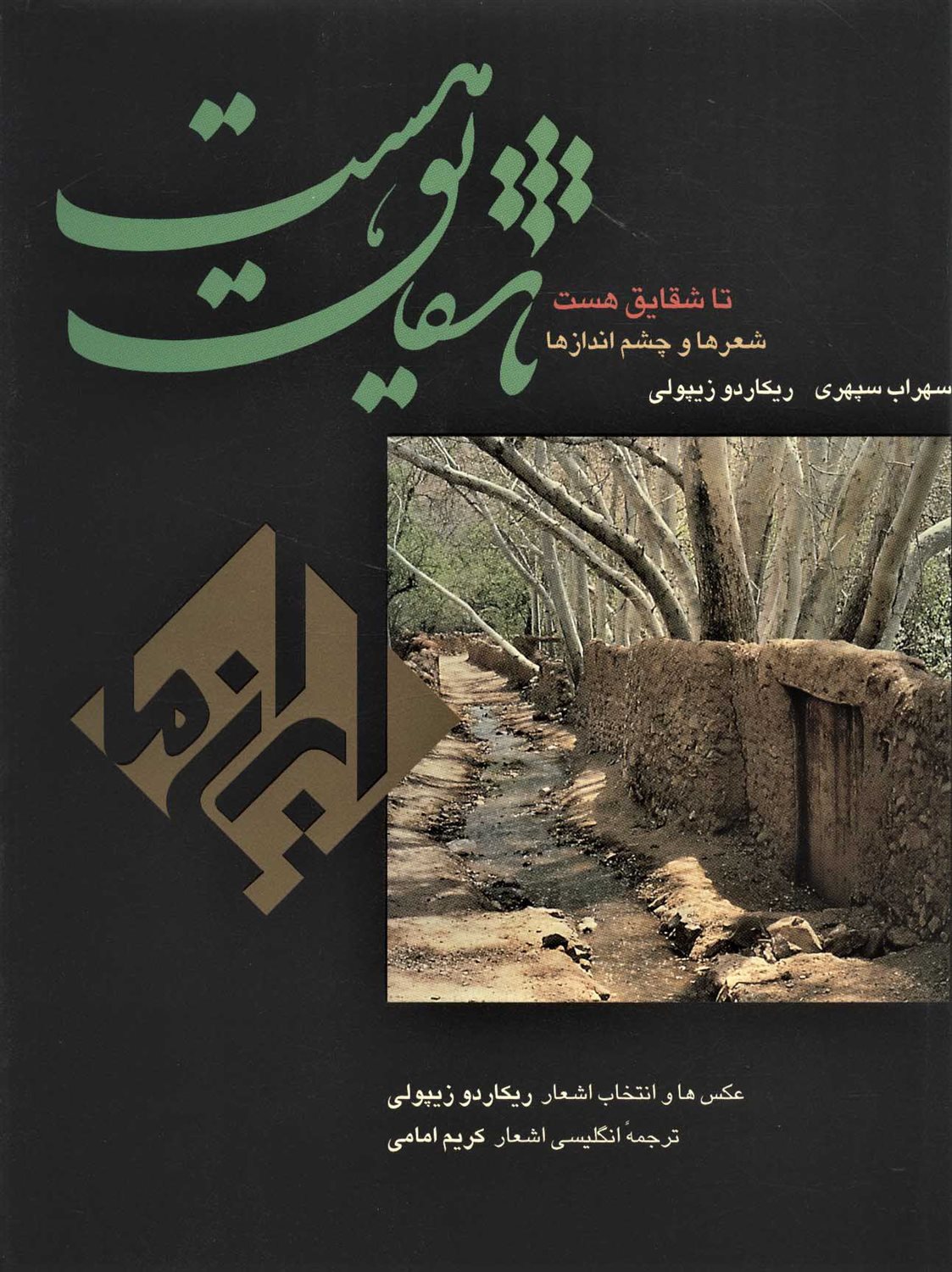 تا شقایق هست