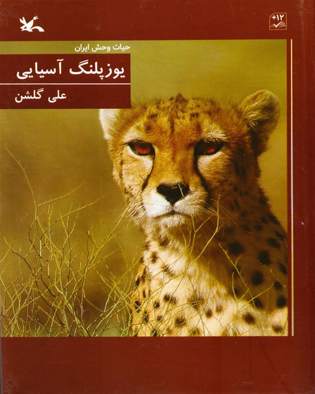 حیات وحش ایران (یوزپلنگ آسیایی)