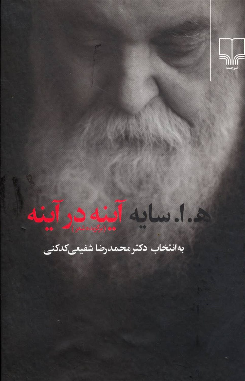 آینه در آینه 