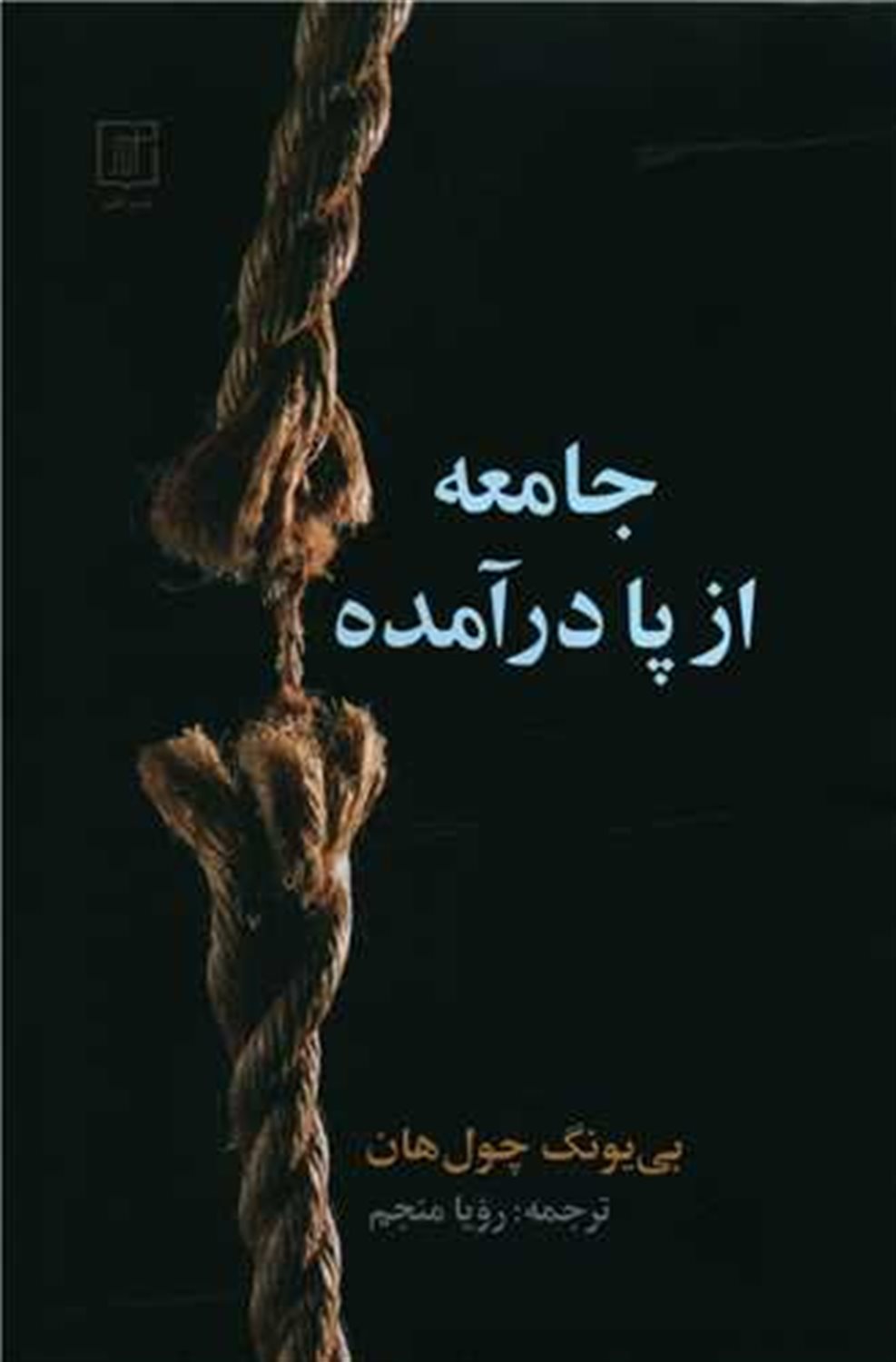 جامعه از پا در آمده 