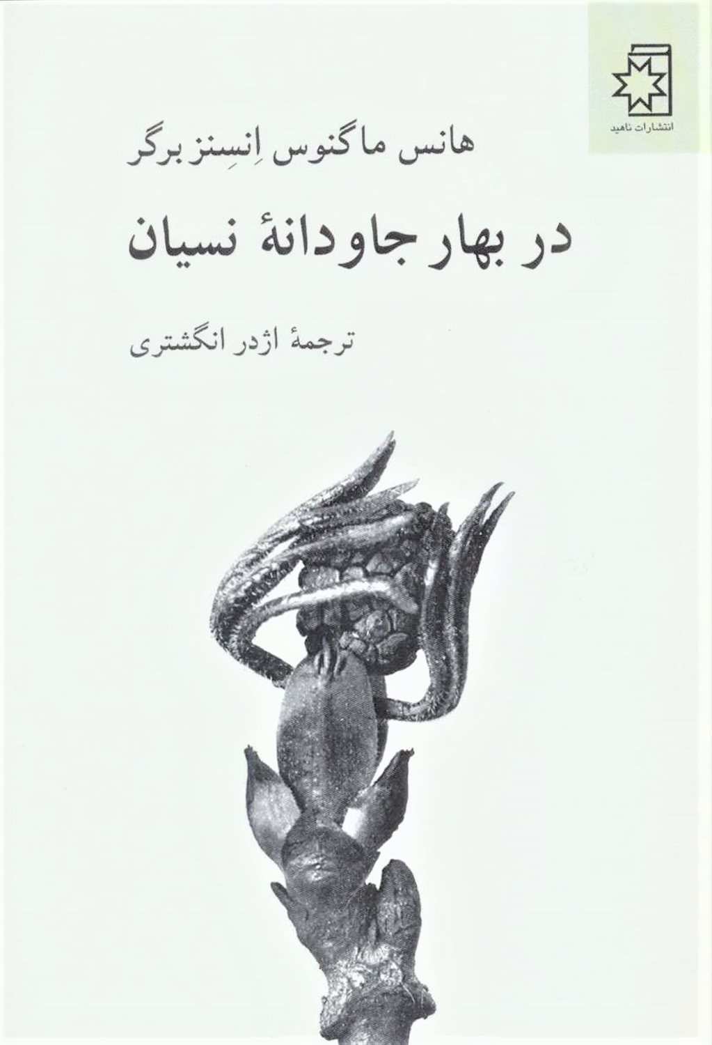 در بهار جاودانه نسیان