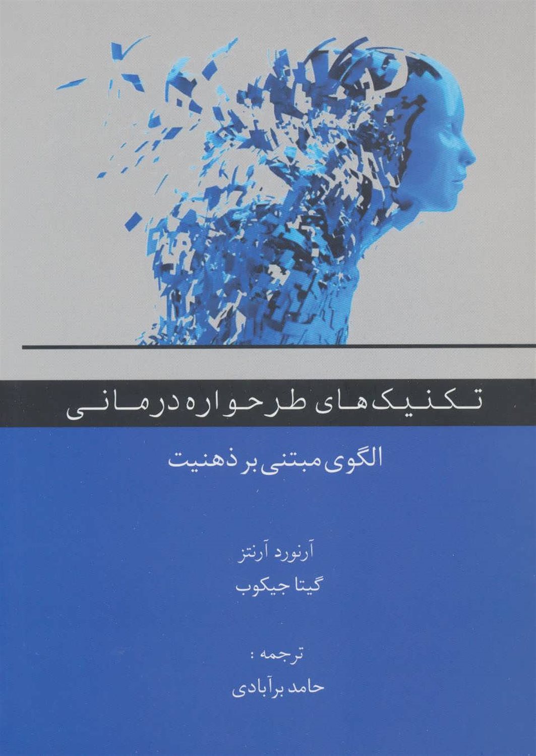 تکنیک های طرحواره درمانی: الگویی مبتنی بر ذهنیت