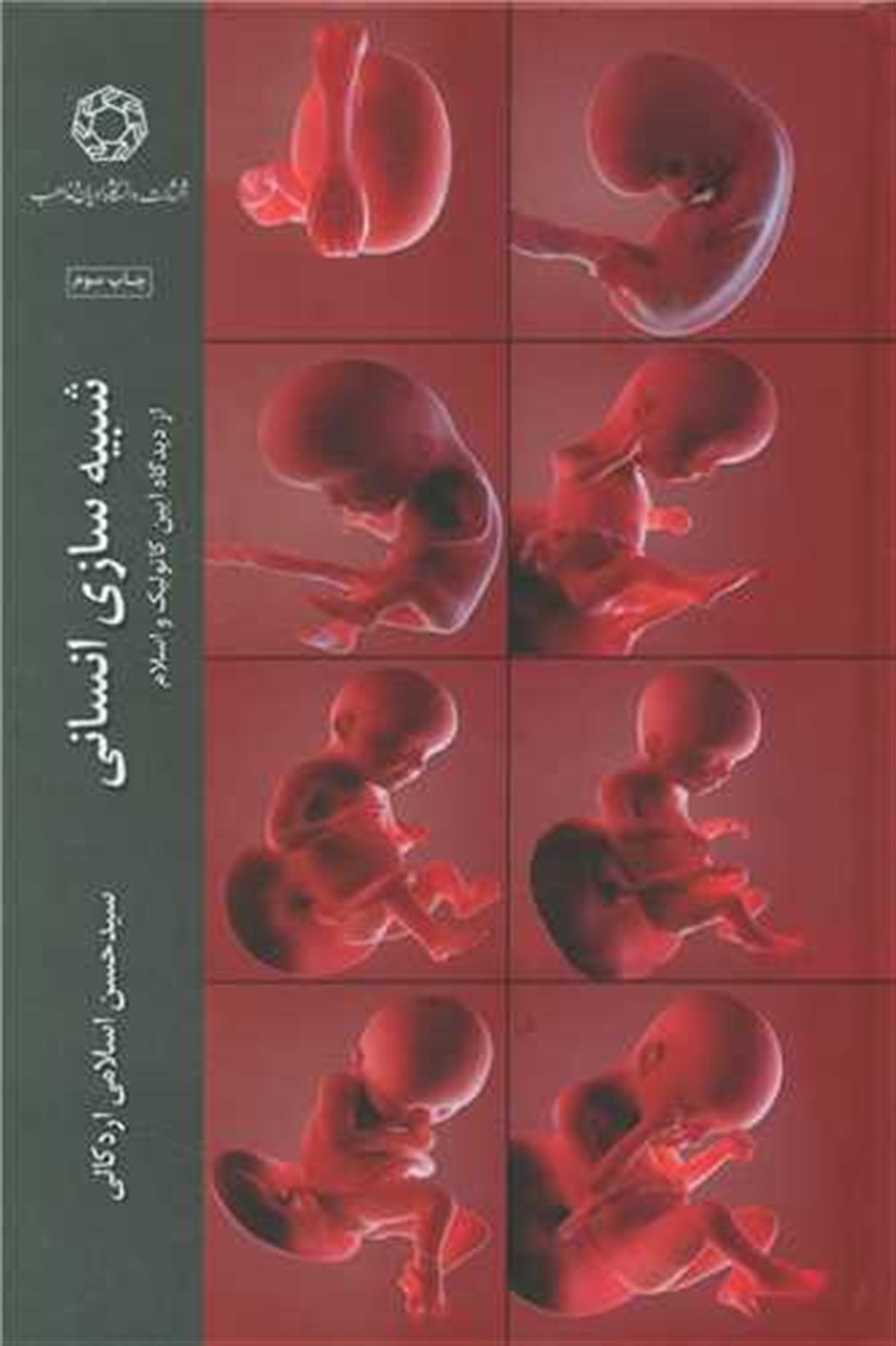 شبیه سازی انسان