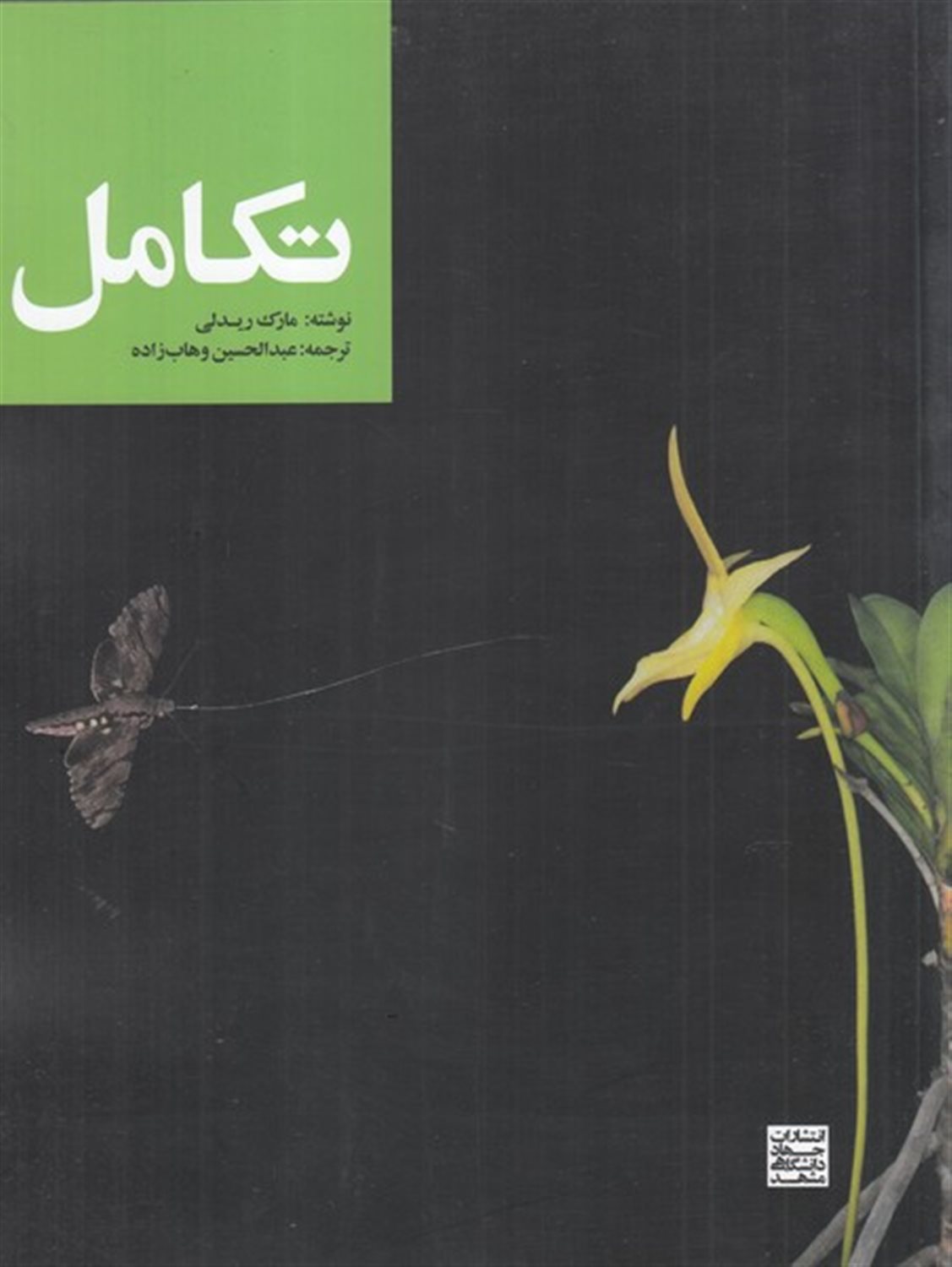 تکامل