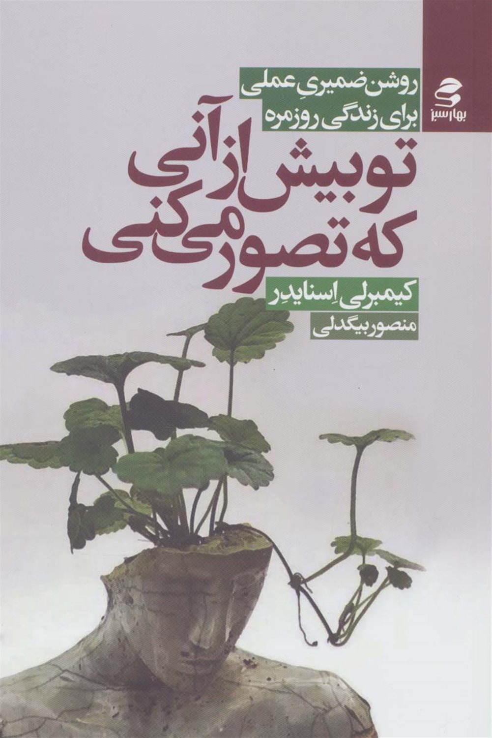تو بیش از آنی که تصور می کنی 