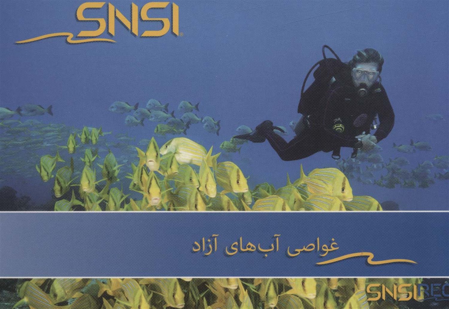 غواصی آب های آزاد