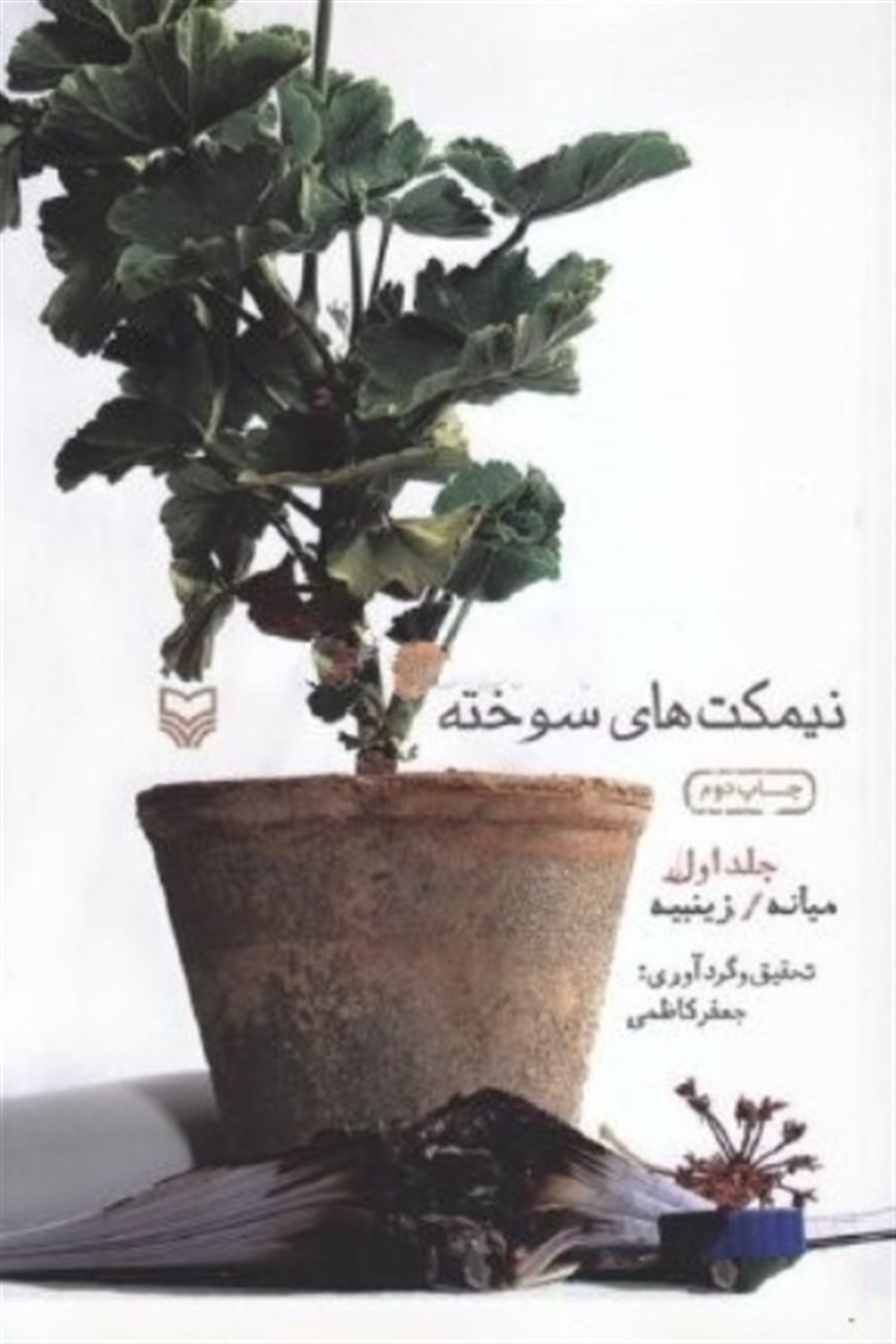 نیمکت های سوخته 1