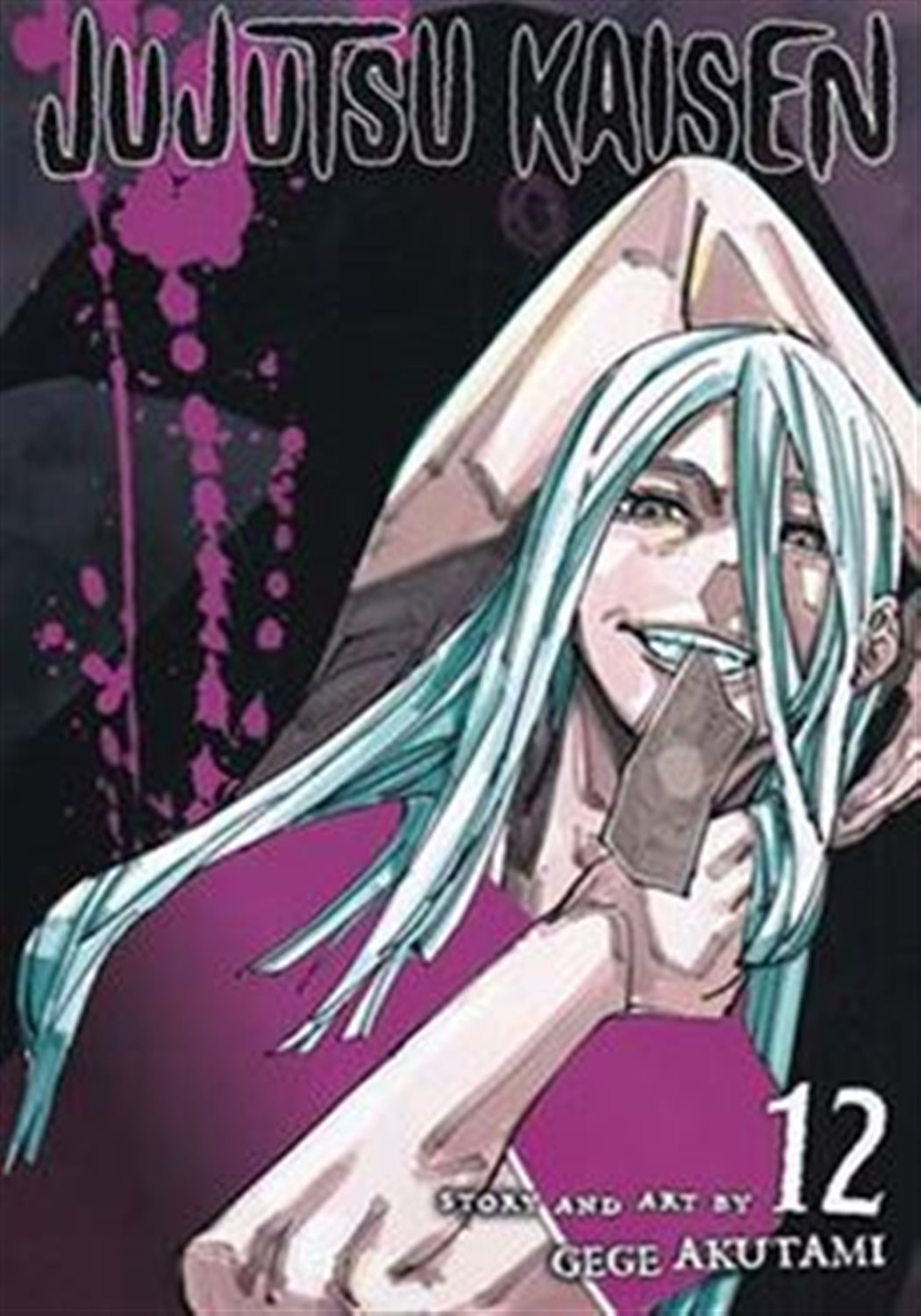 jujutsu kaisen 12