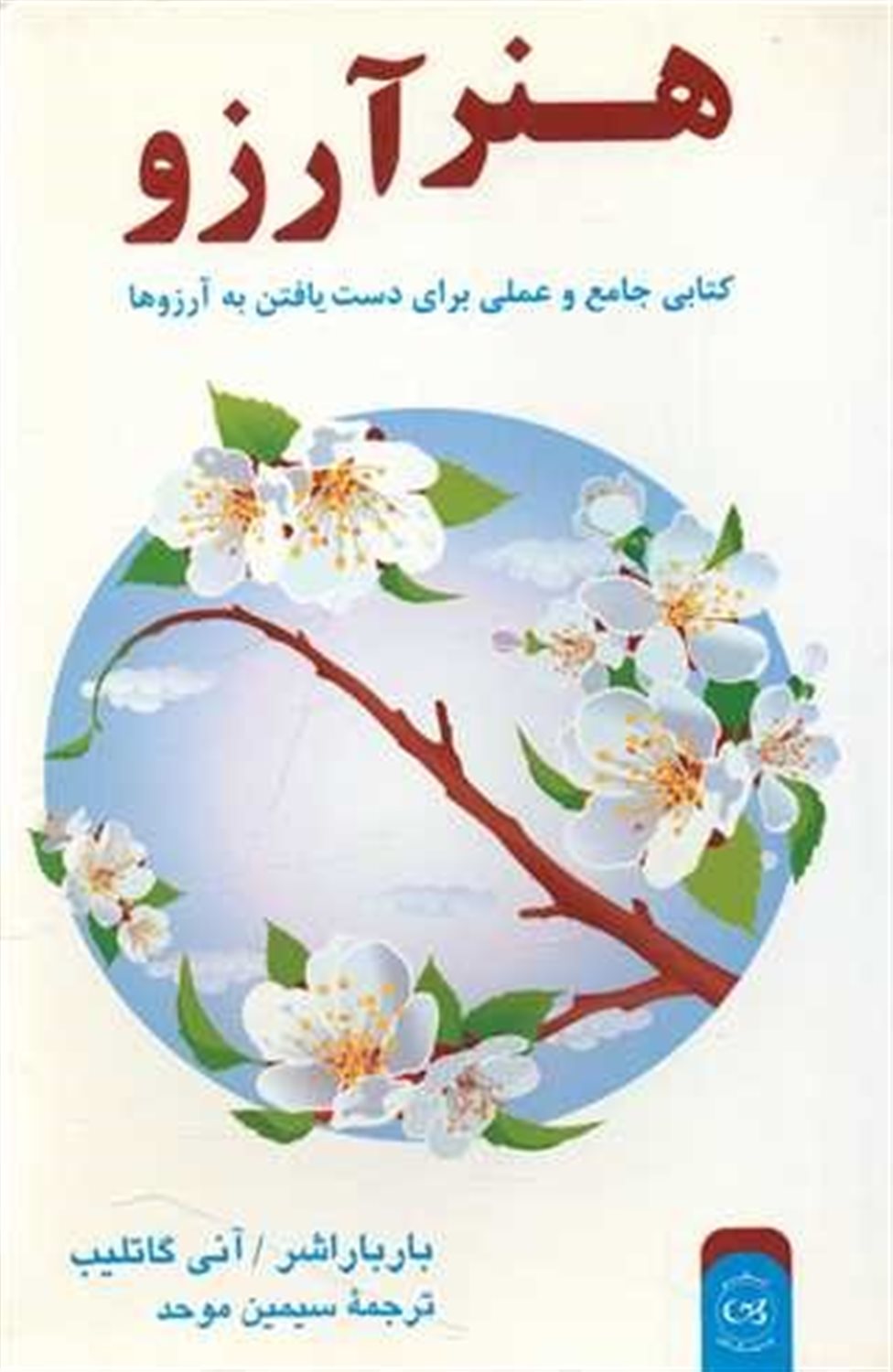 هنر آرزو 