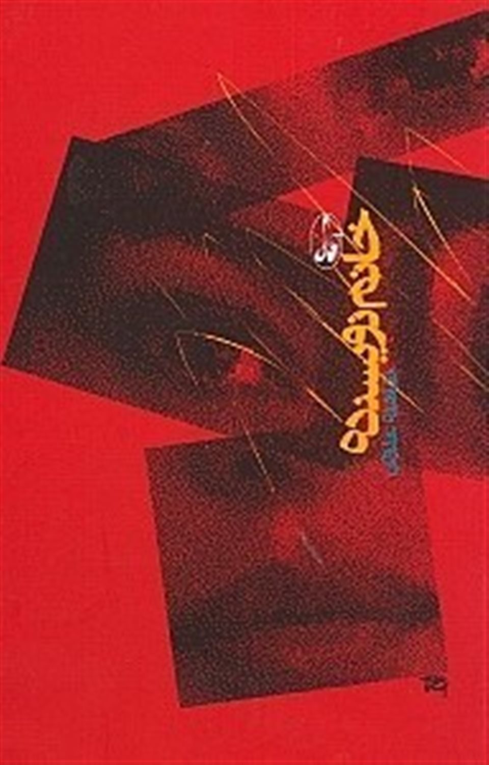خانم نویسنده