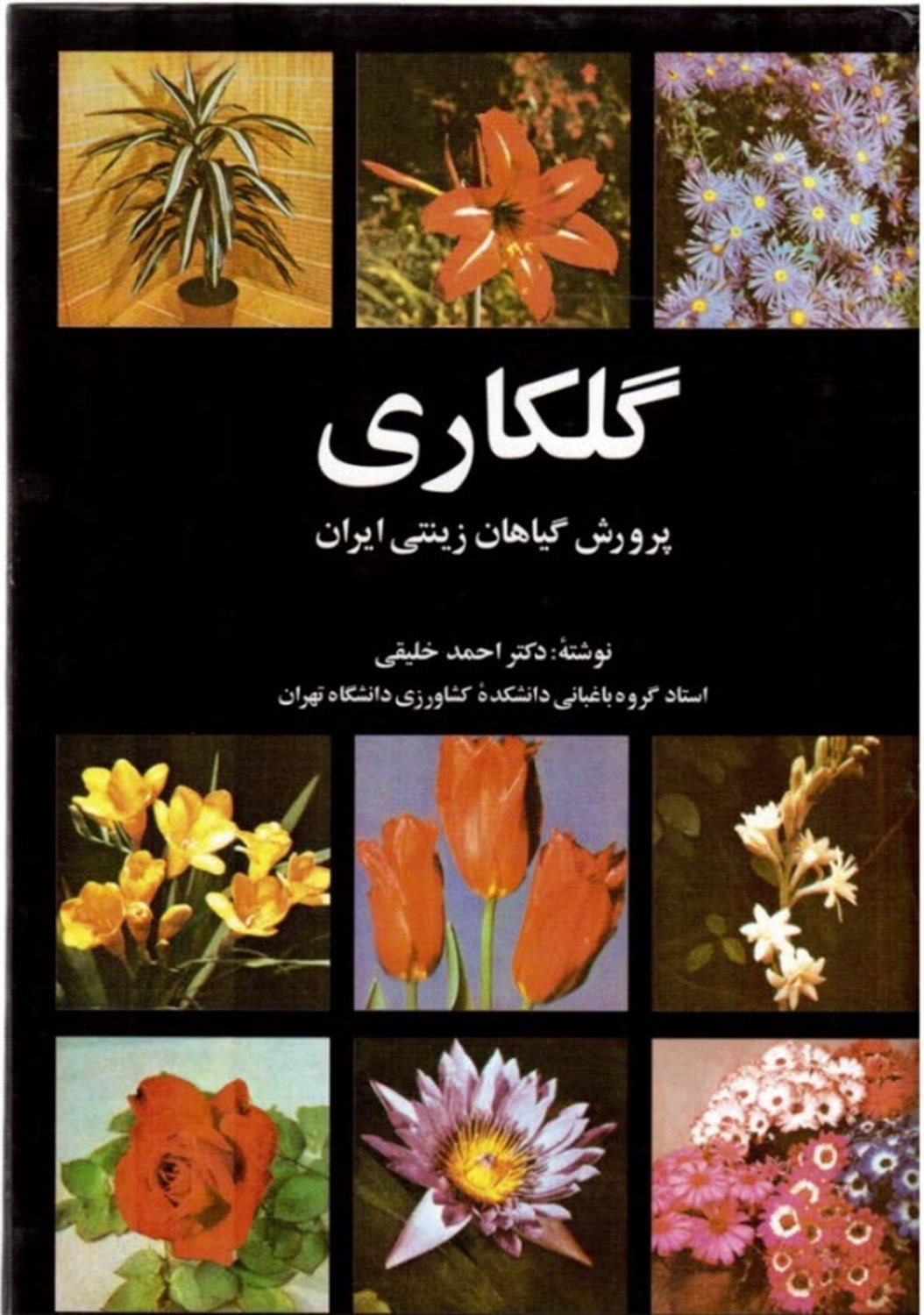 گلکاری 
