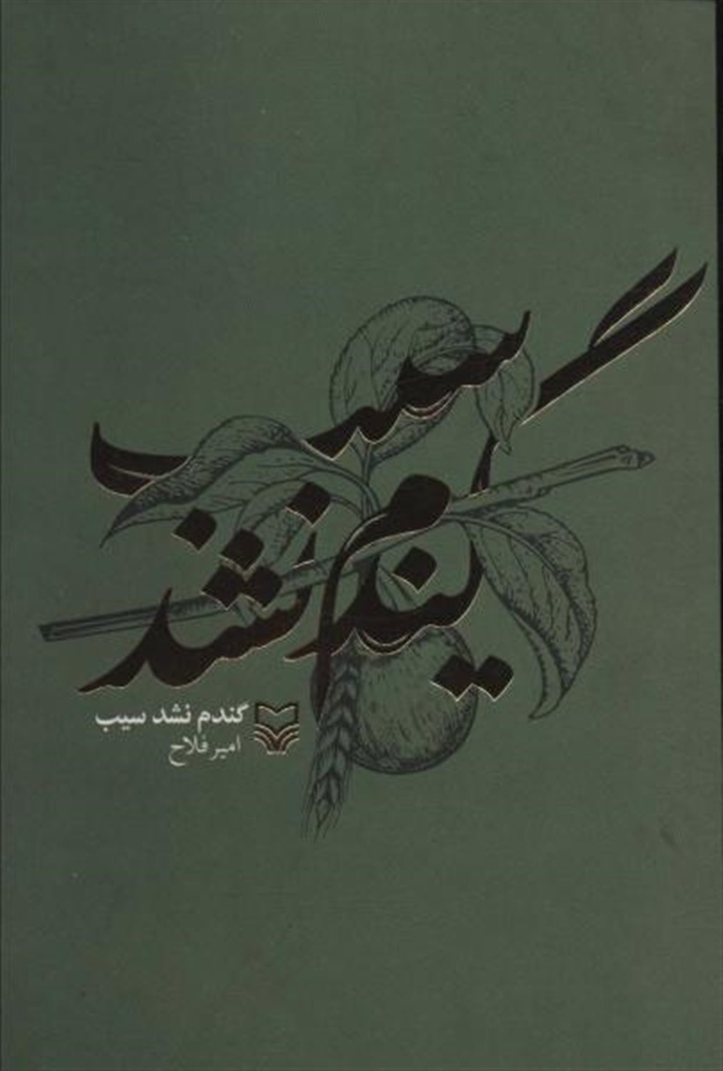 گندم نشد سیب