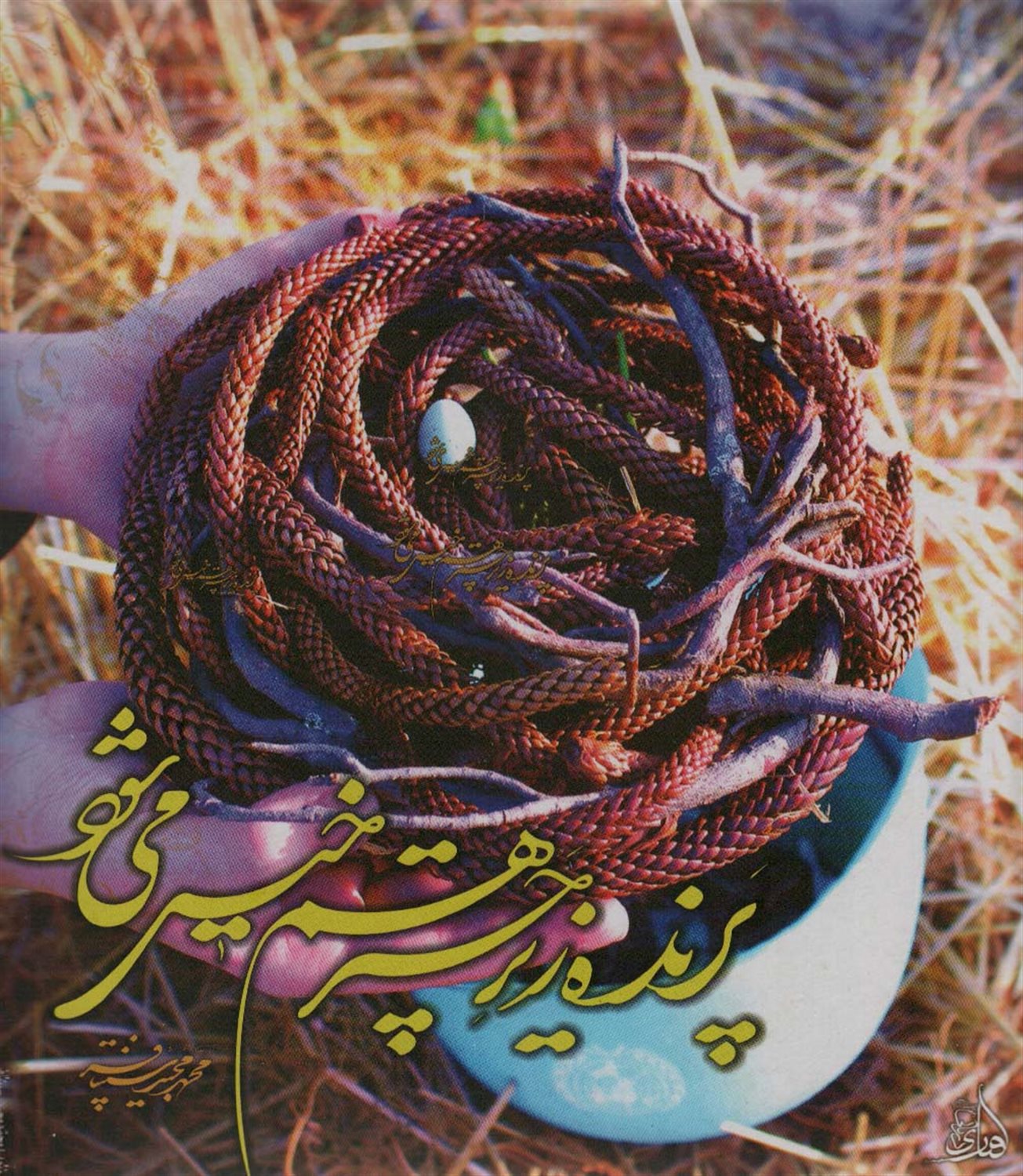 پرنده زیر چتر هم خیس می شود 