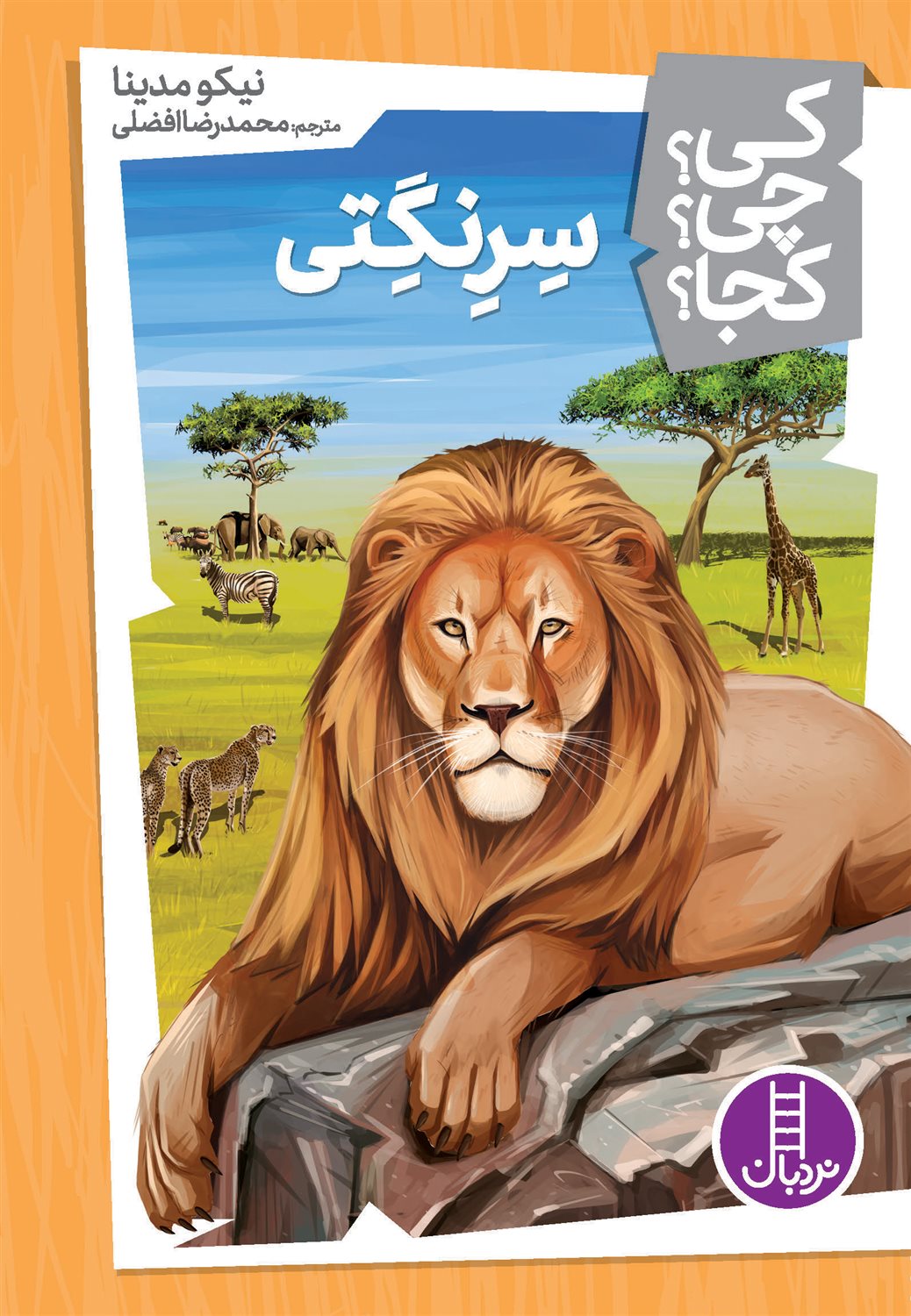 کی؟ چی؟ کجا؟ 11 (سرنگتی)