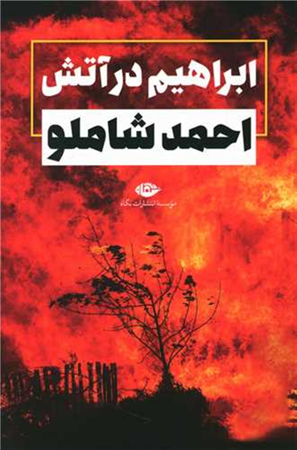 ابراهیم در آتش