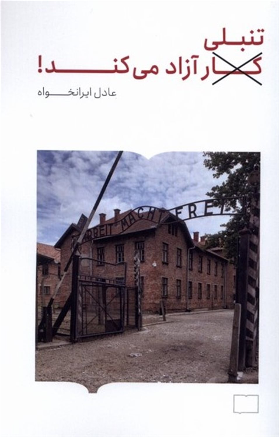 تنبلی آزاد می‌کند