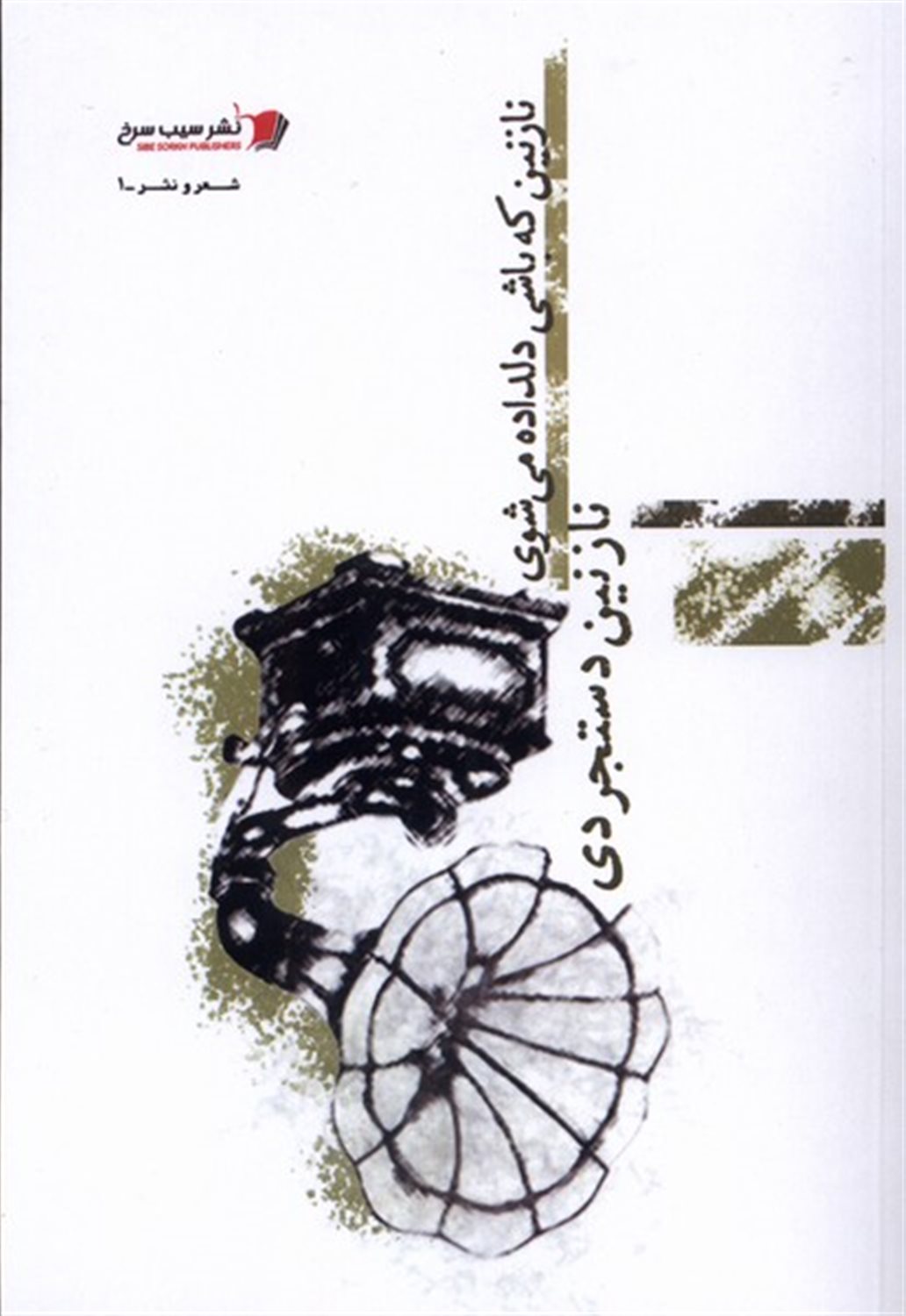 نازنین که باشی دلداده می شوی