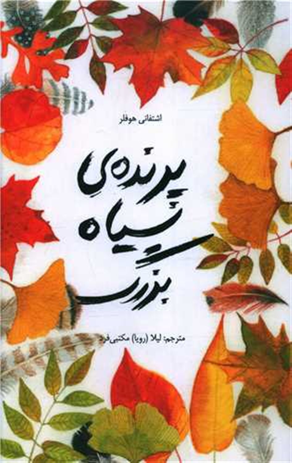 پرنده ی سیاه بزرگ