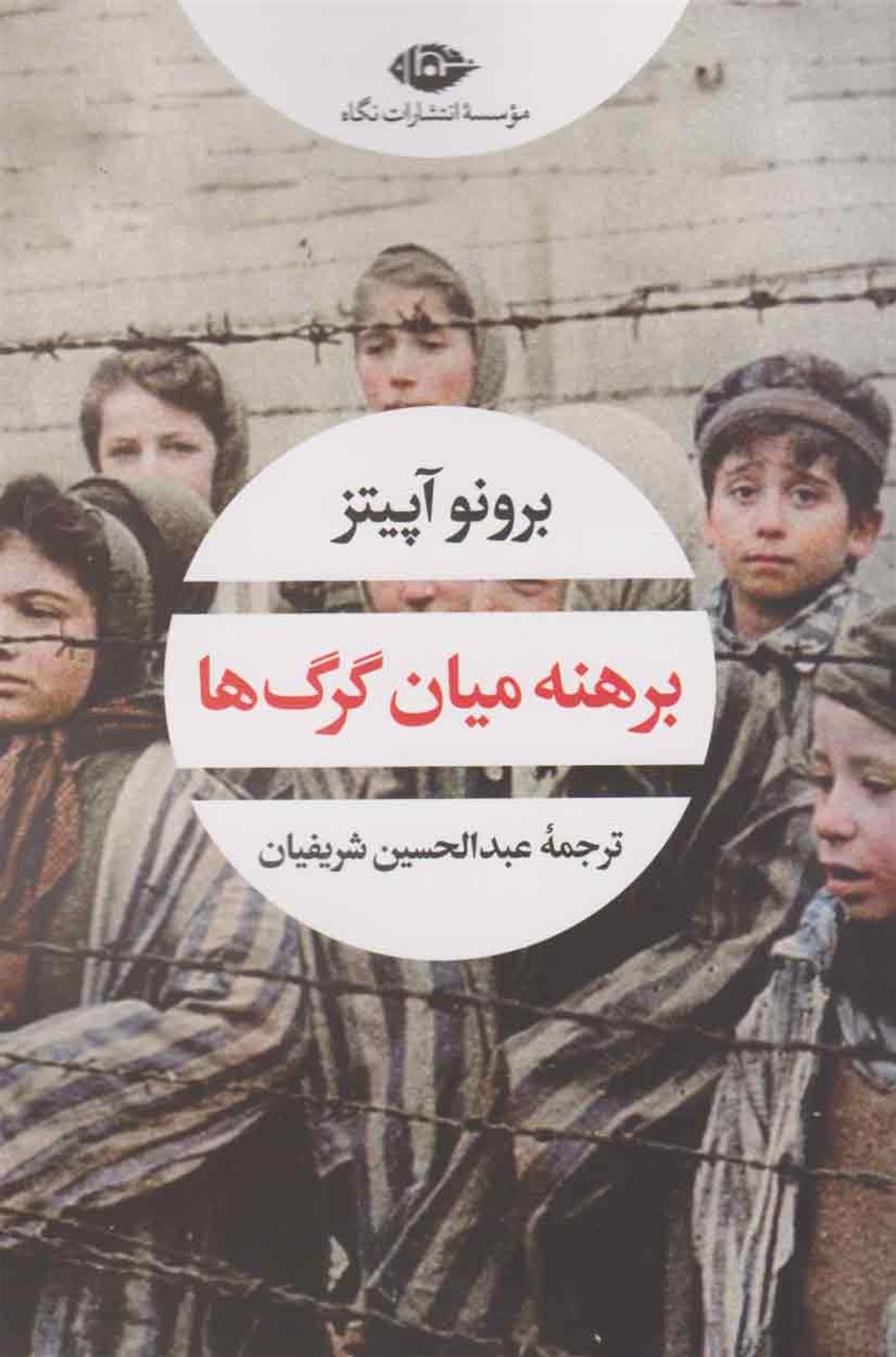 برهنه میان گرگ ها 