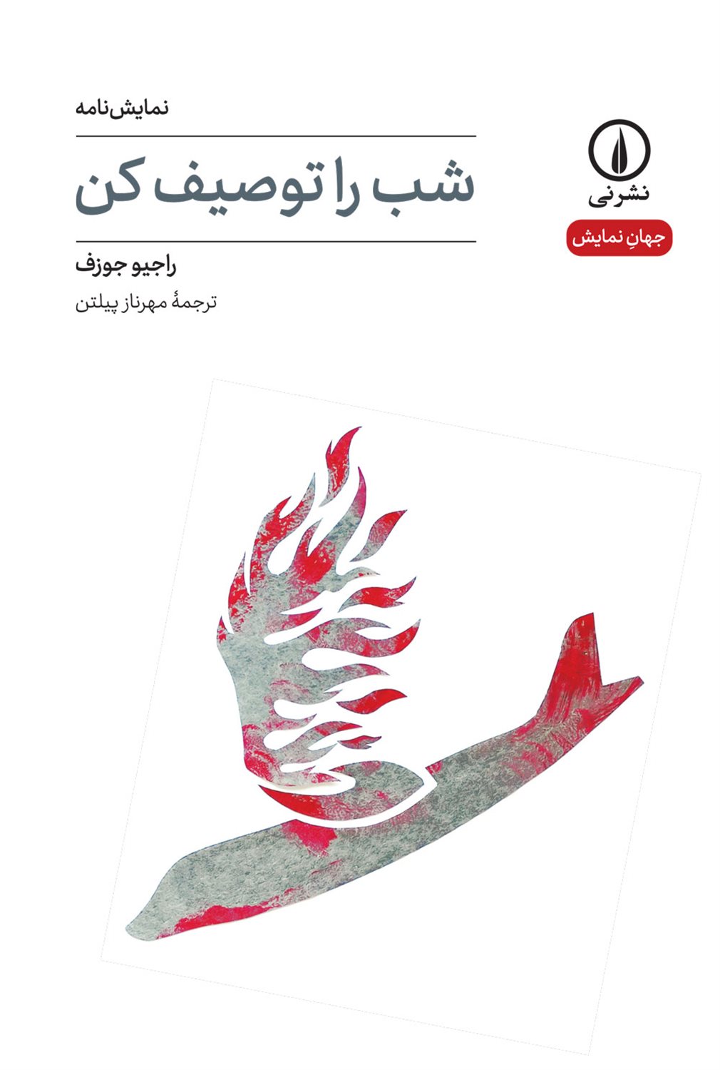 شب را توصیف کن 