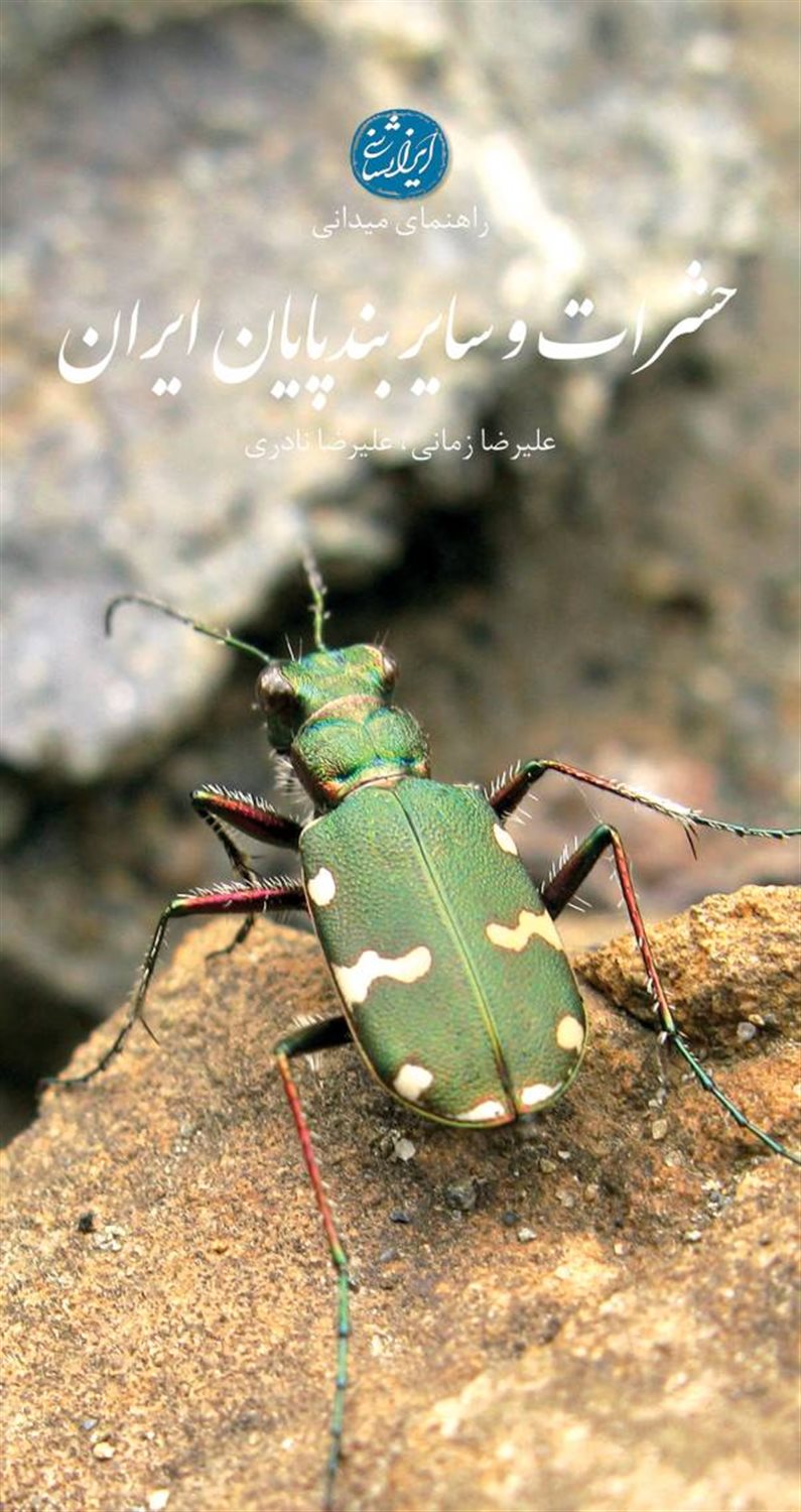 راهنمای میدانی حشرات و سایر بندپایان ایران 