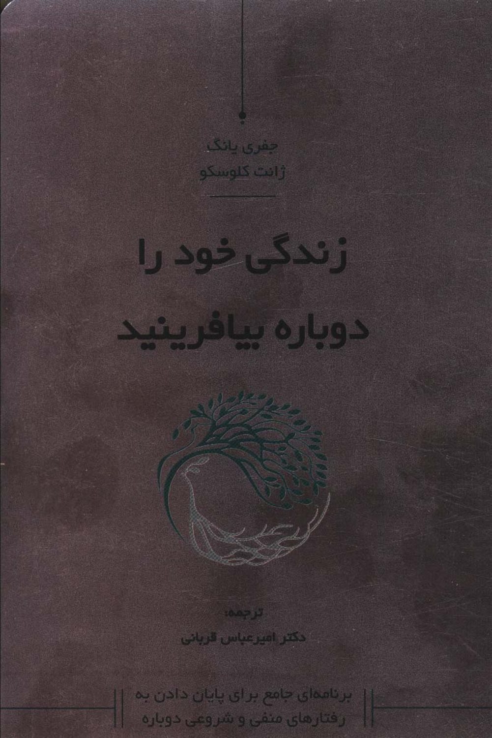زندگی خود را دوباره بیافرینید