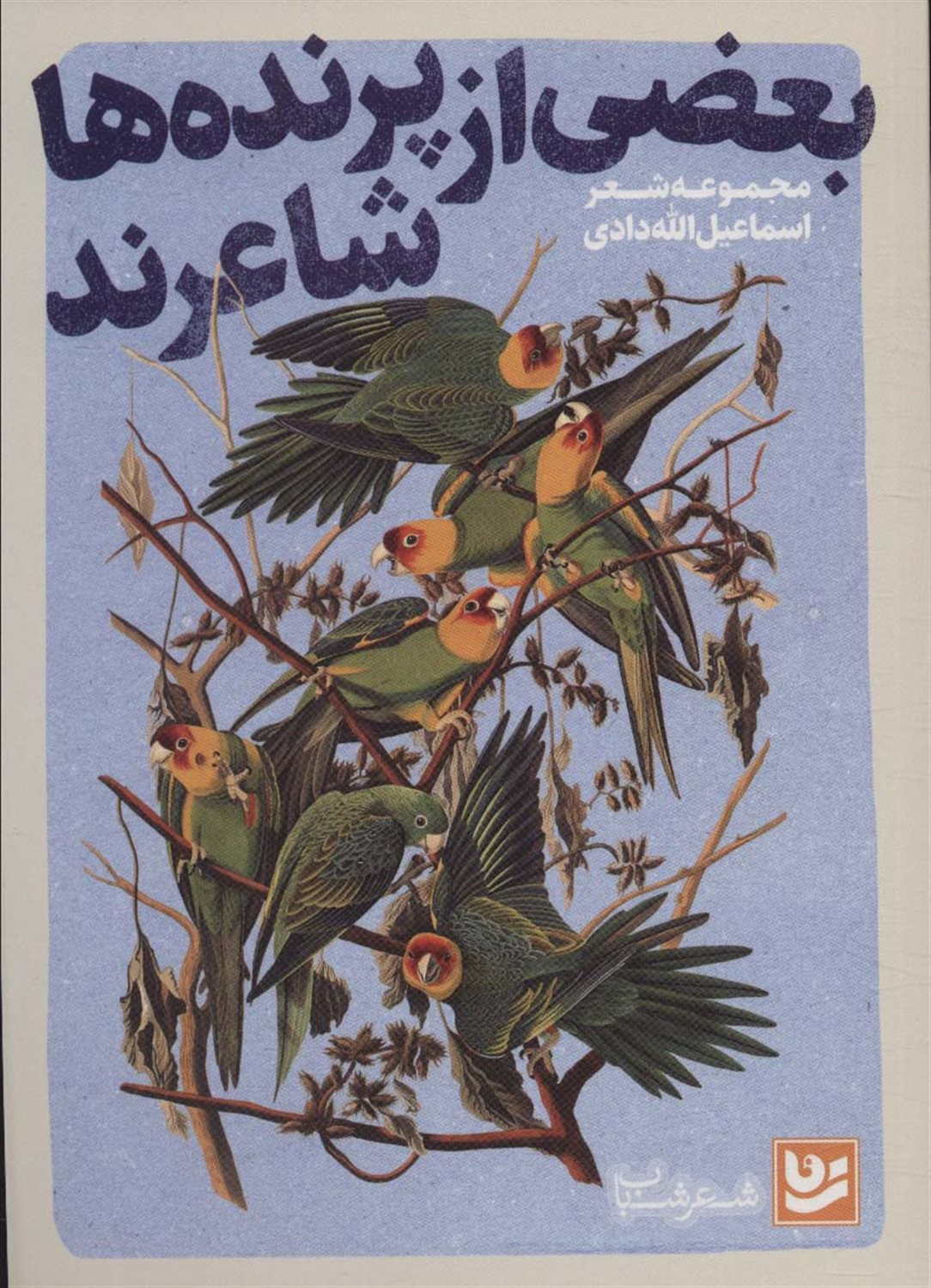 بعضی از پرنده ها شاعرند 