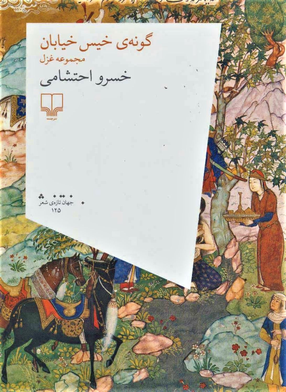 گونه‌ی خیس خیابان