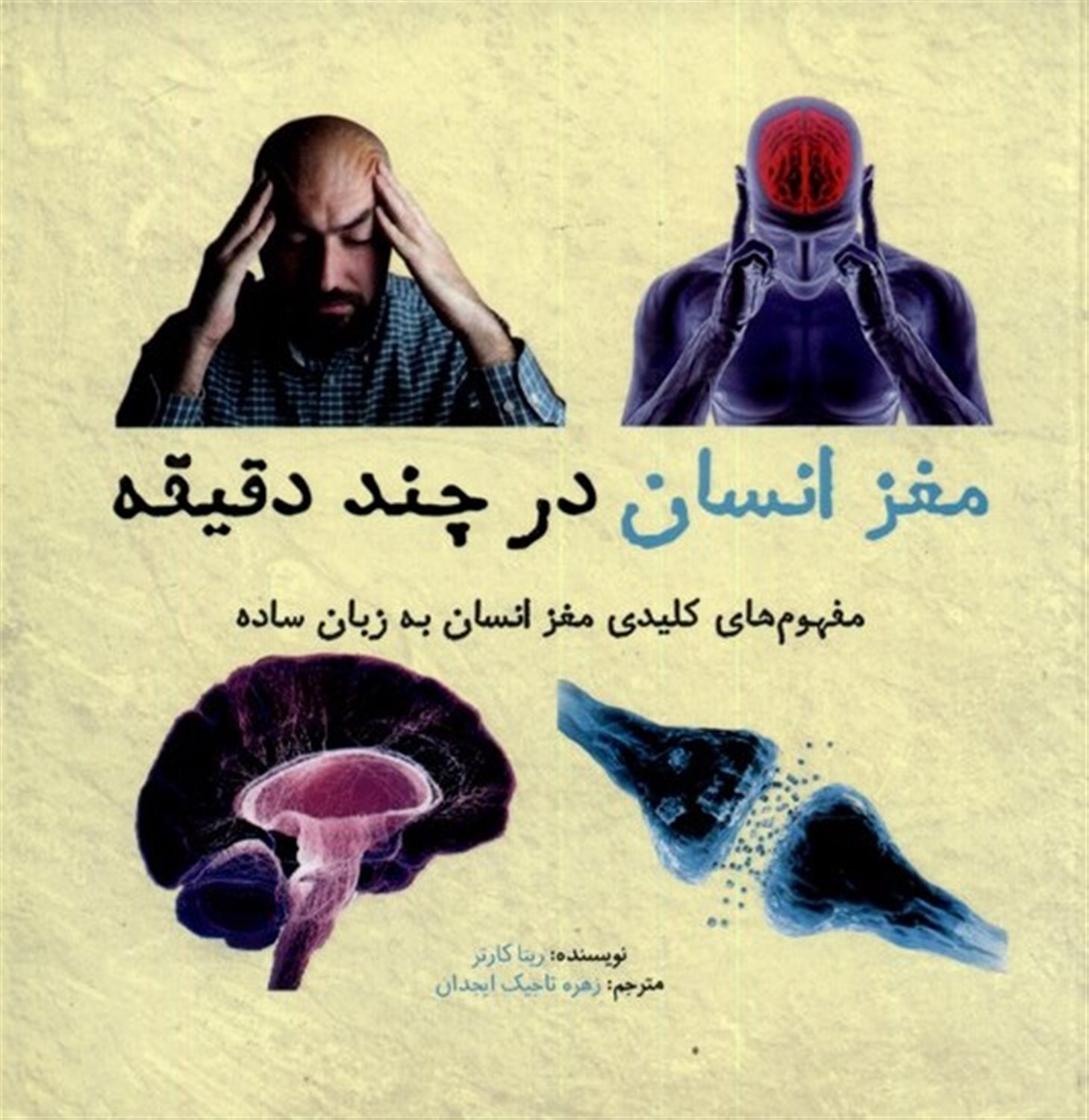 مغز انسان در چند دقیقه