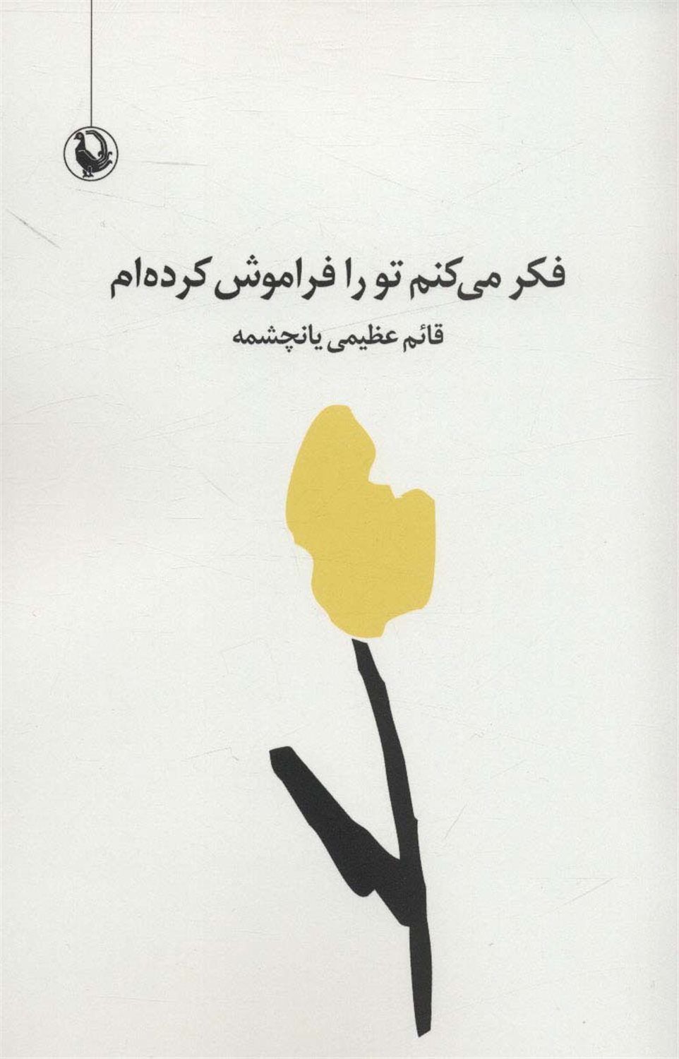فکر می کنم تو را فراموش کردم