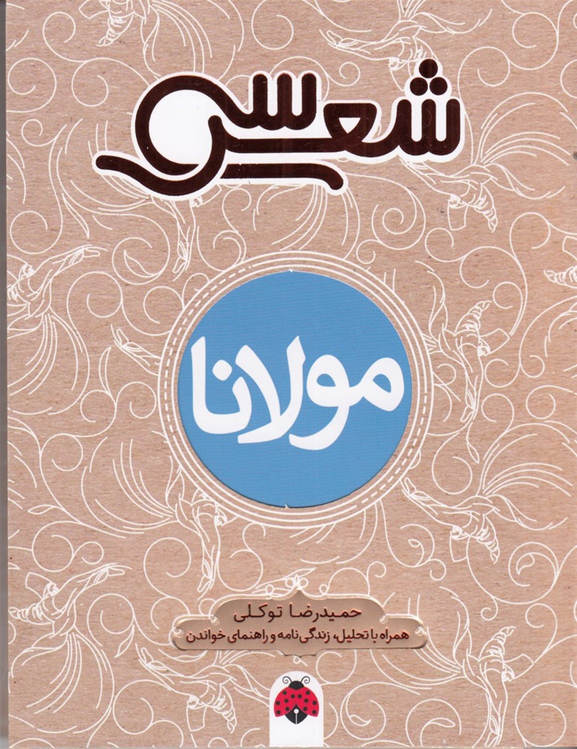 سی شعر (مولانا)