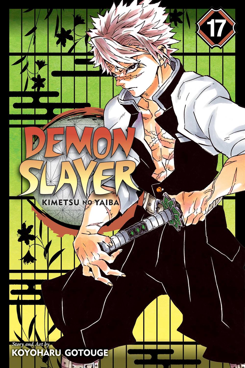 Demon Slayer 17
