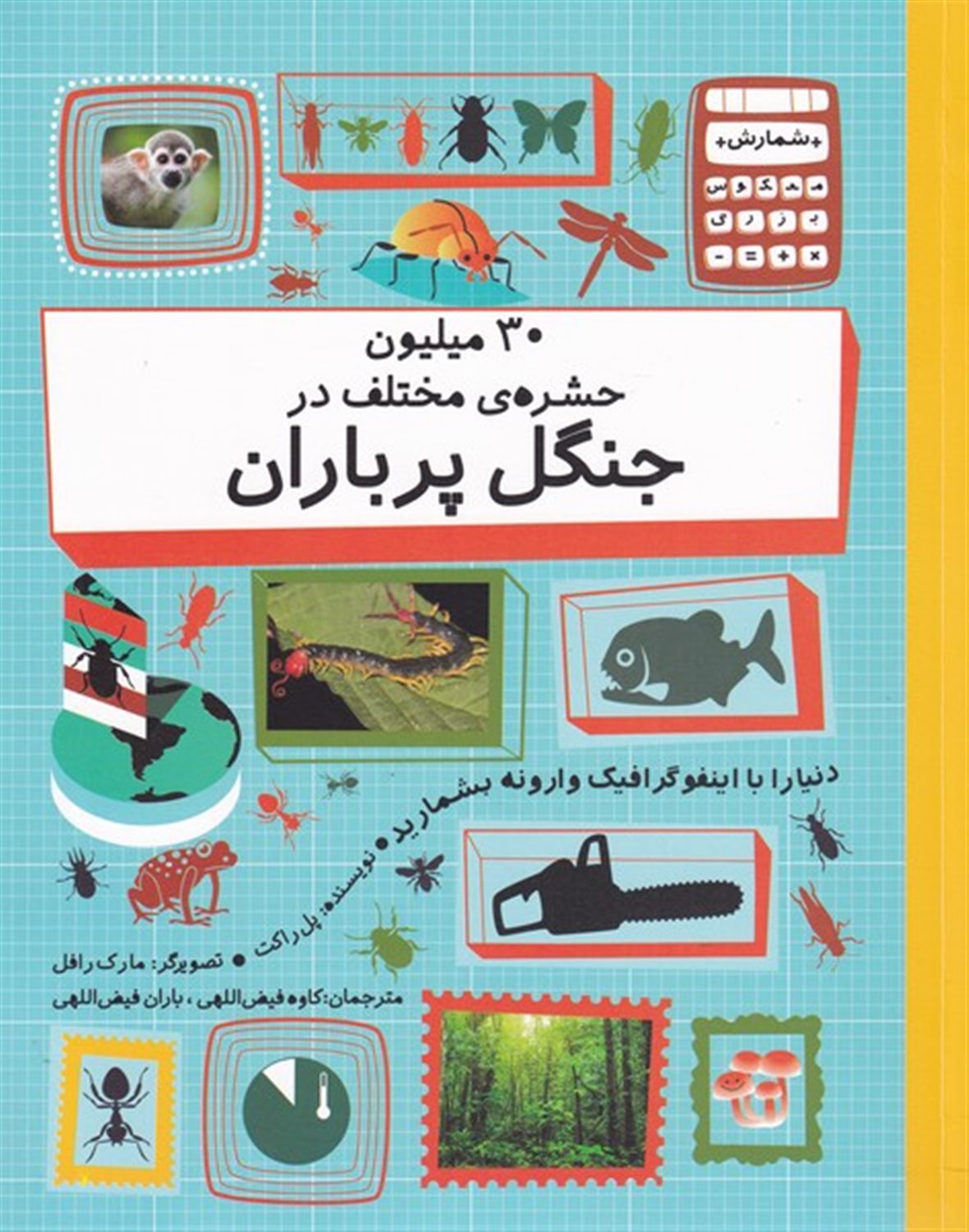 30 میلیون حشره ی مختلف در جنگل پرباران