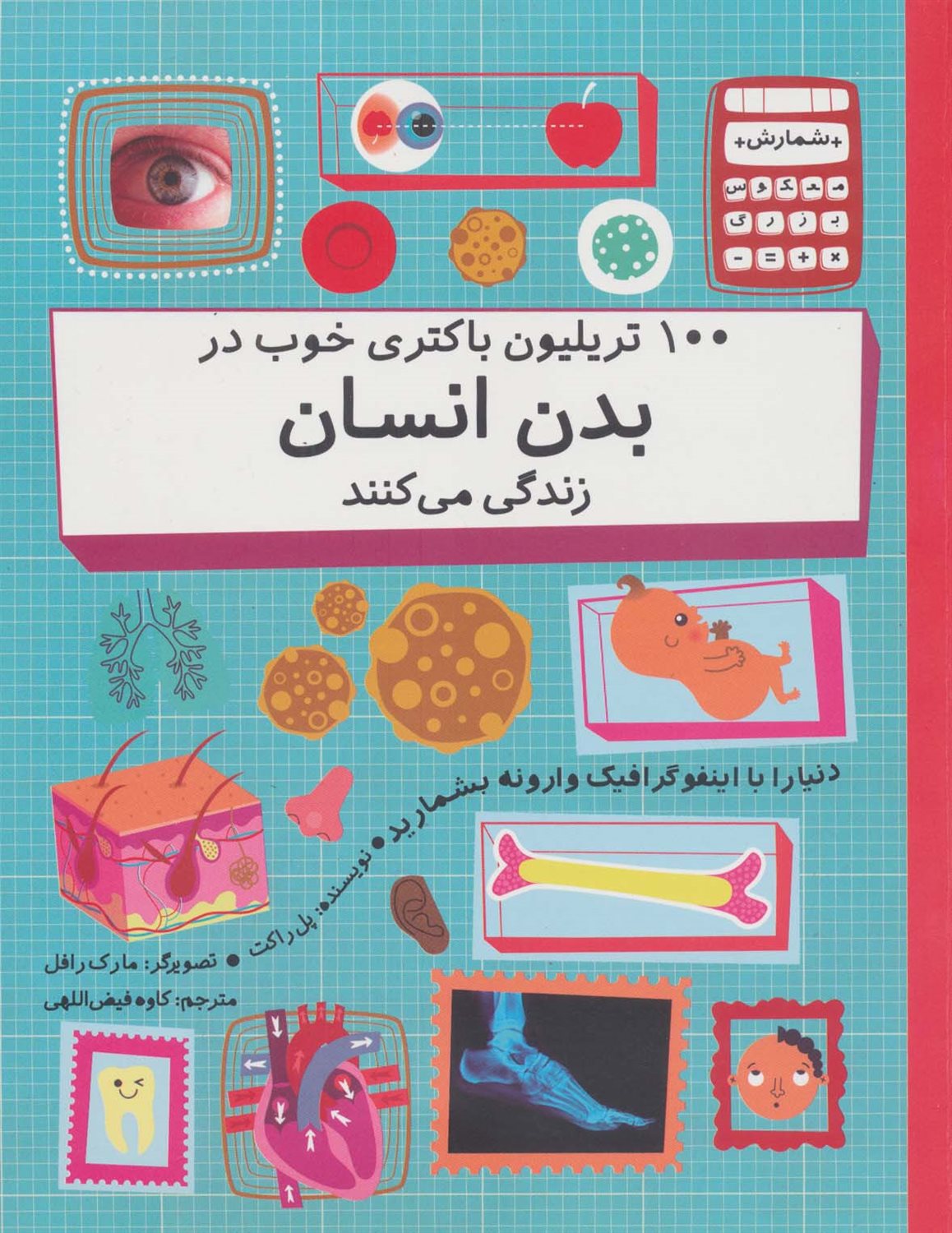 100 تریلیون باکتری خوب در بدن انسان زندگی می کنند