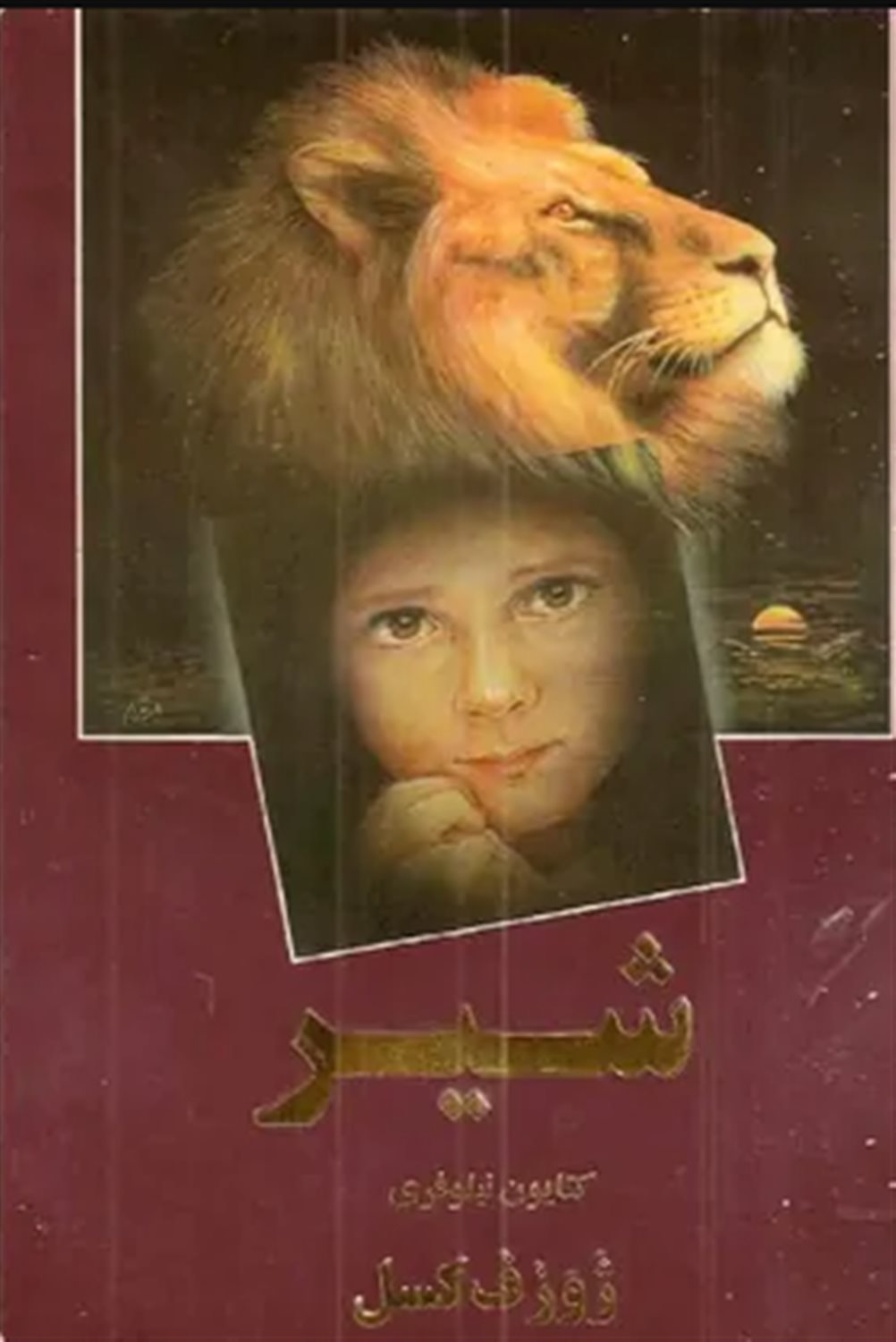 شیر