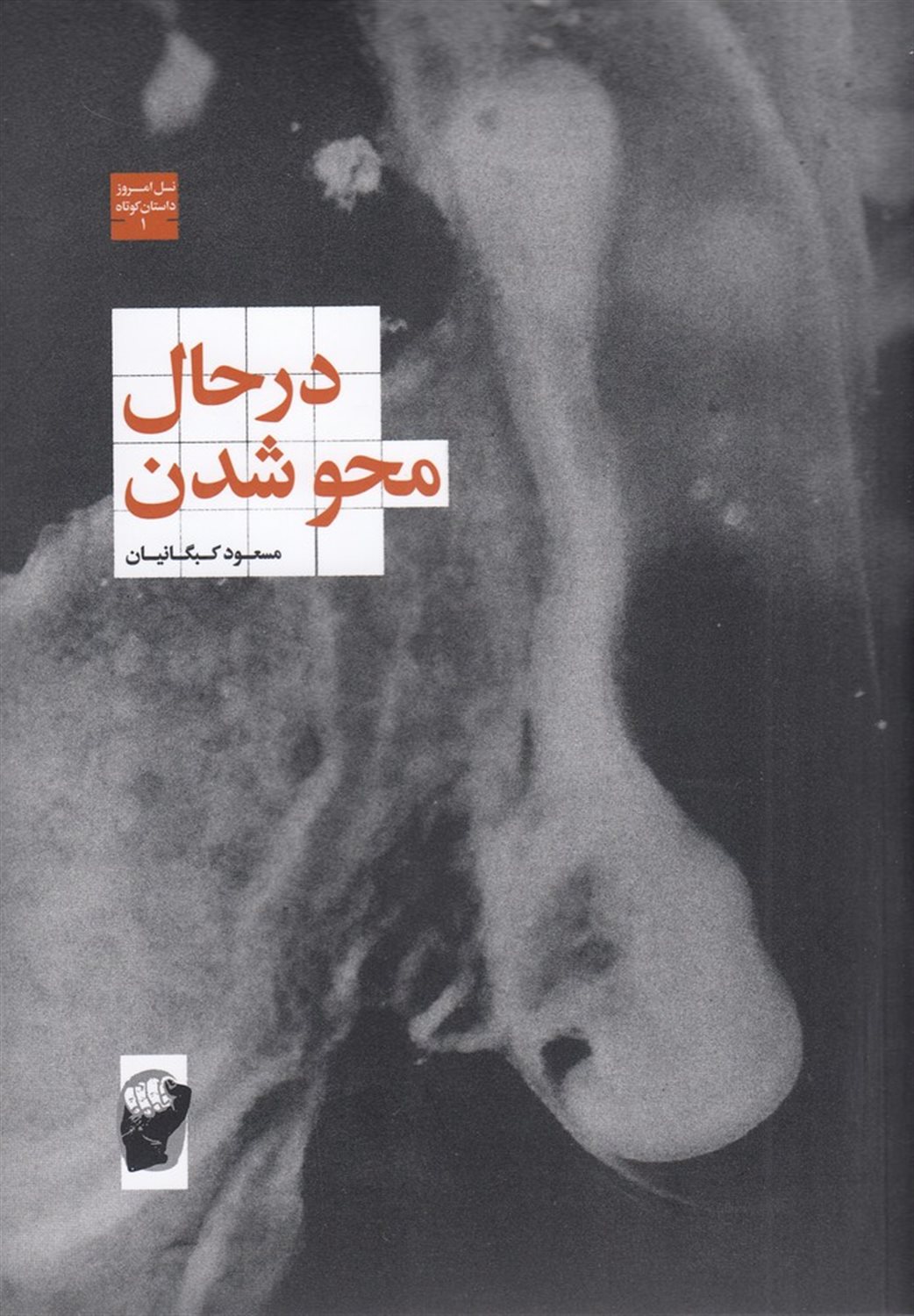 در حال محو شدن
