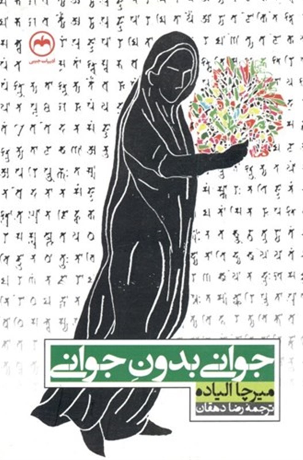 جوانی بدون جوانی