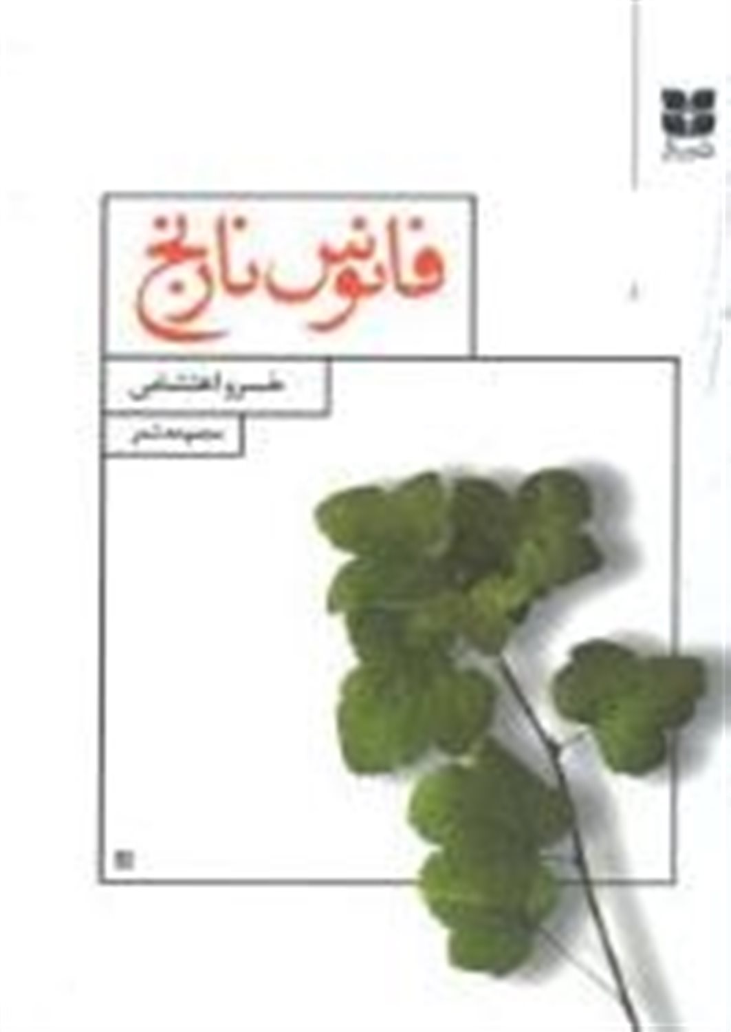 فانوس نارنج