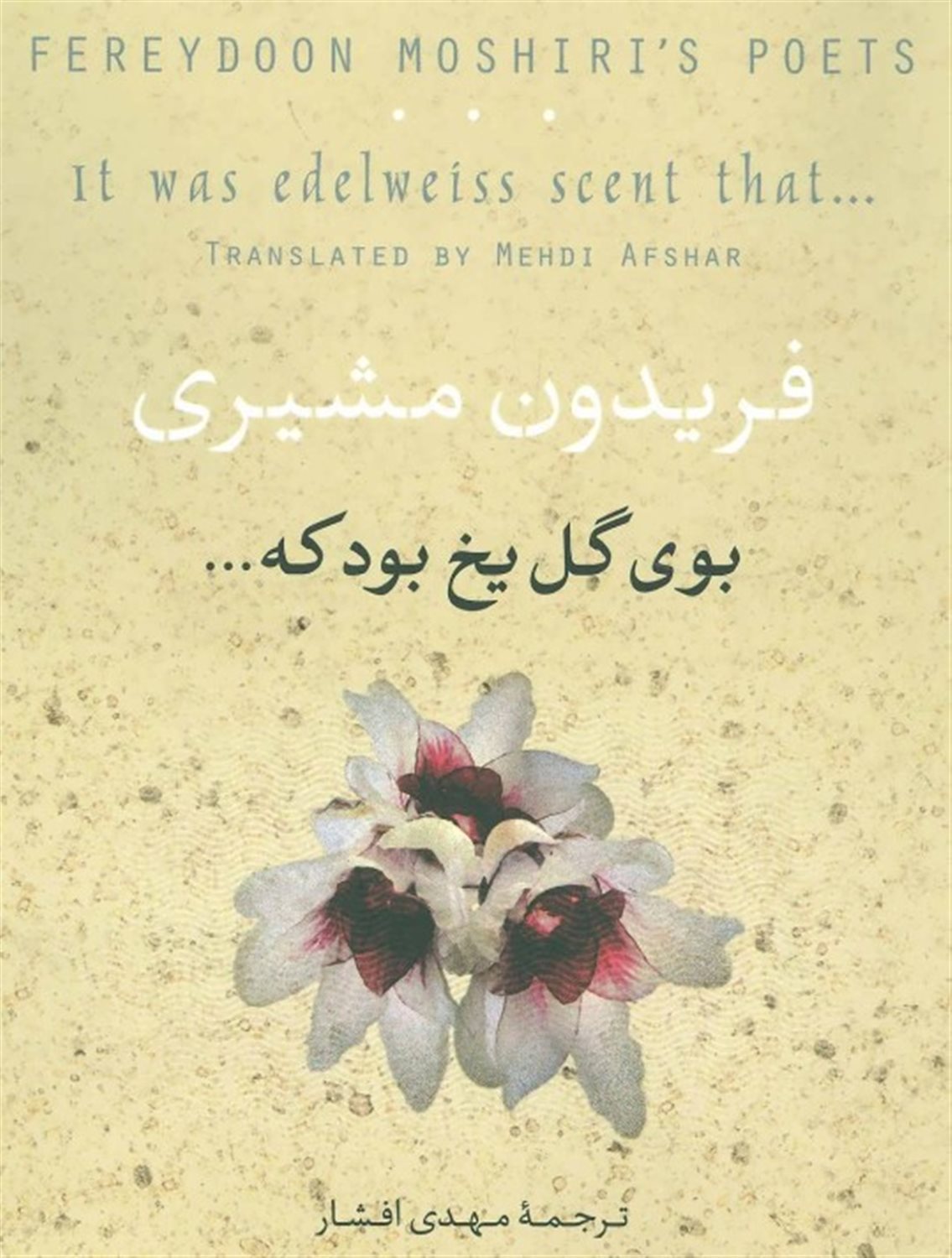 بوی گل یخ بود که ...