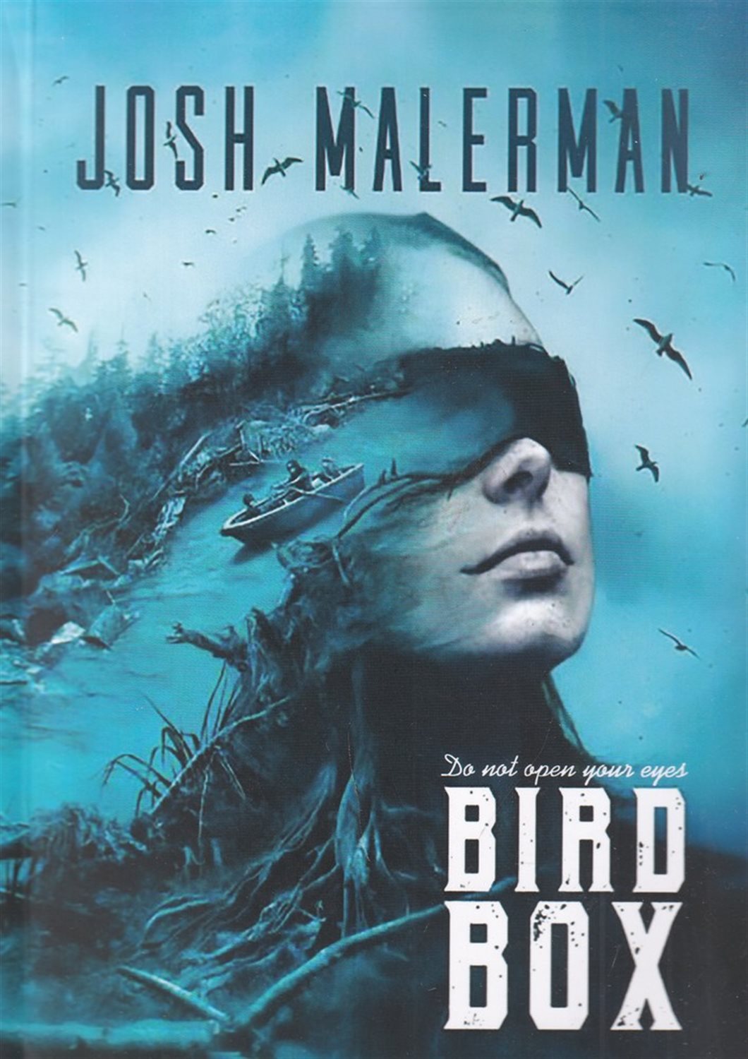 bird box