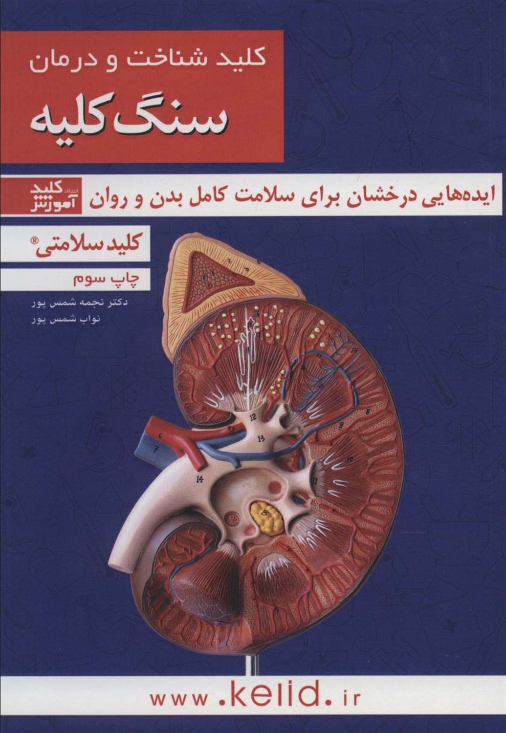 کلید شناخت و درمان سنگ کلیه 