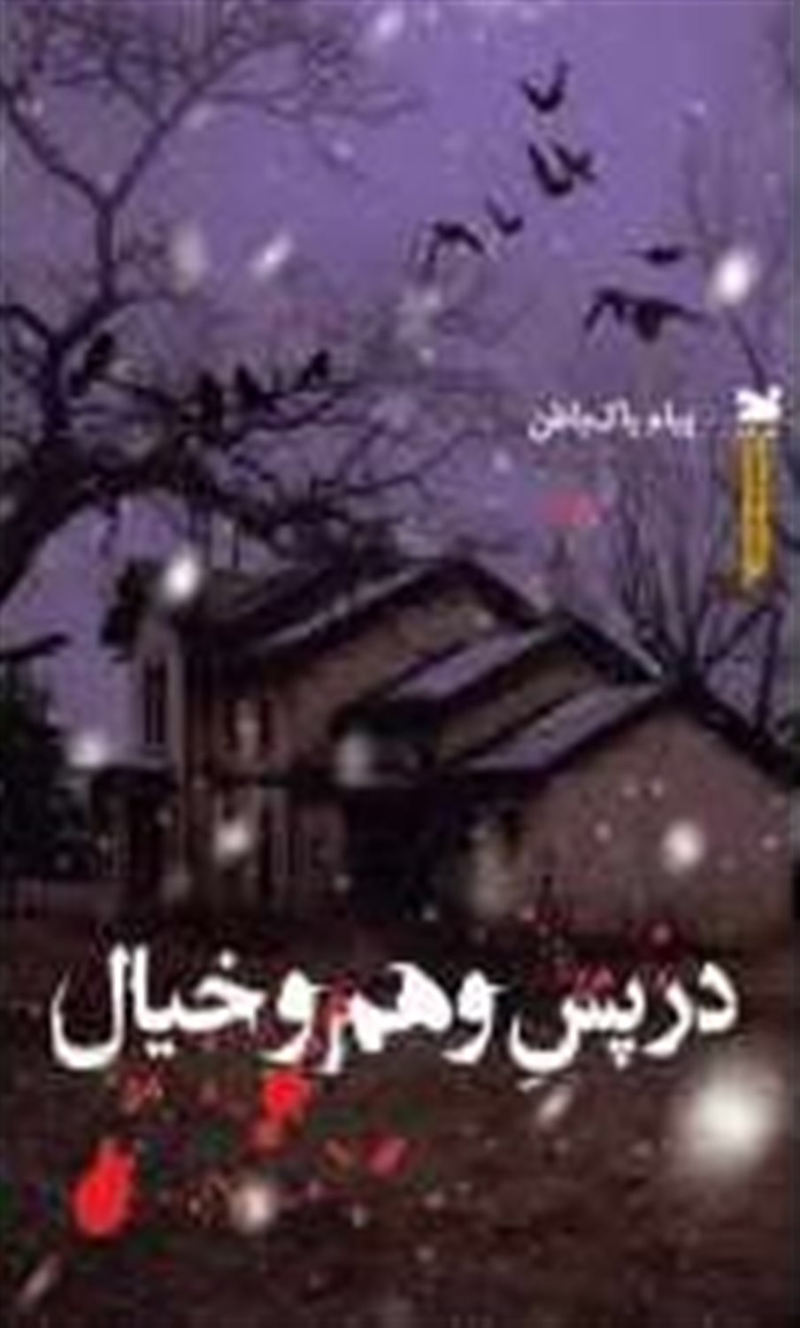 در پس وهم و خیال