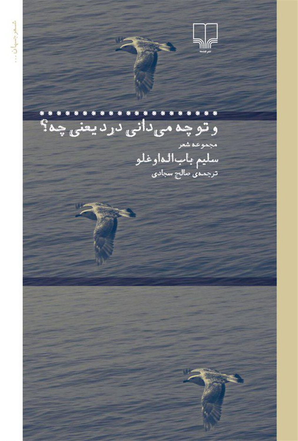و تو چه می دانی درد یعنی چه؟
