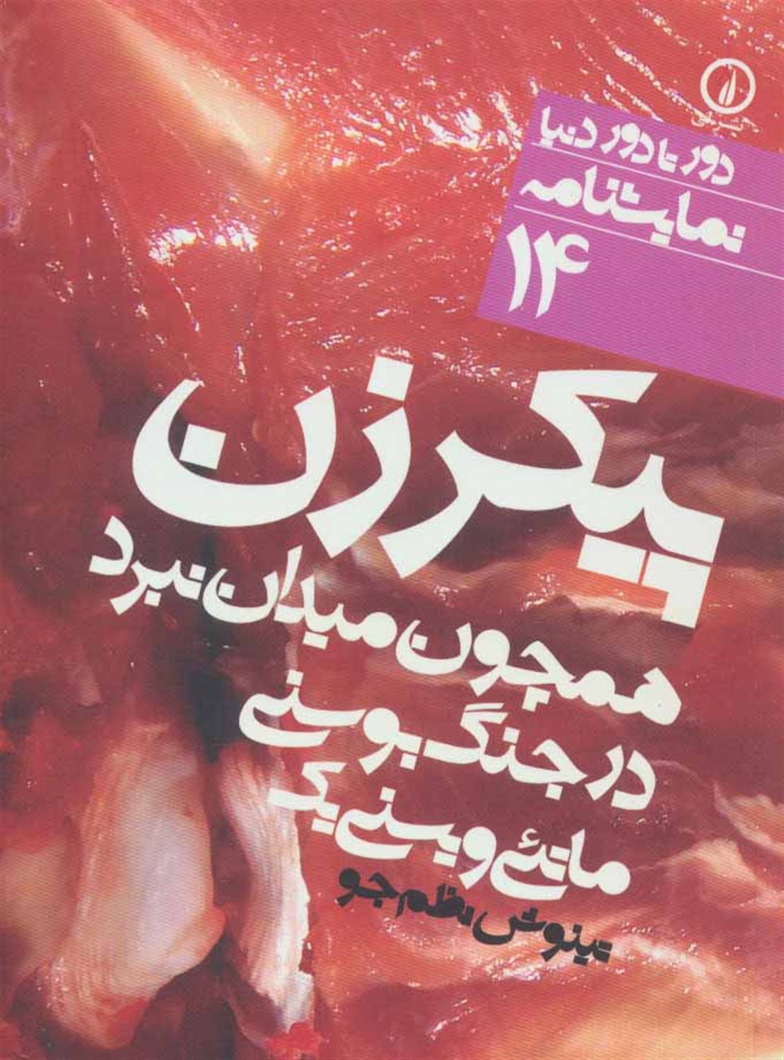 دور تا دور دنیا 14 (پیکر زن همچون میدان جنگ نبرد در بوسنی)