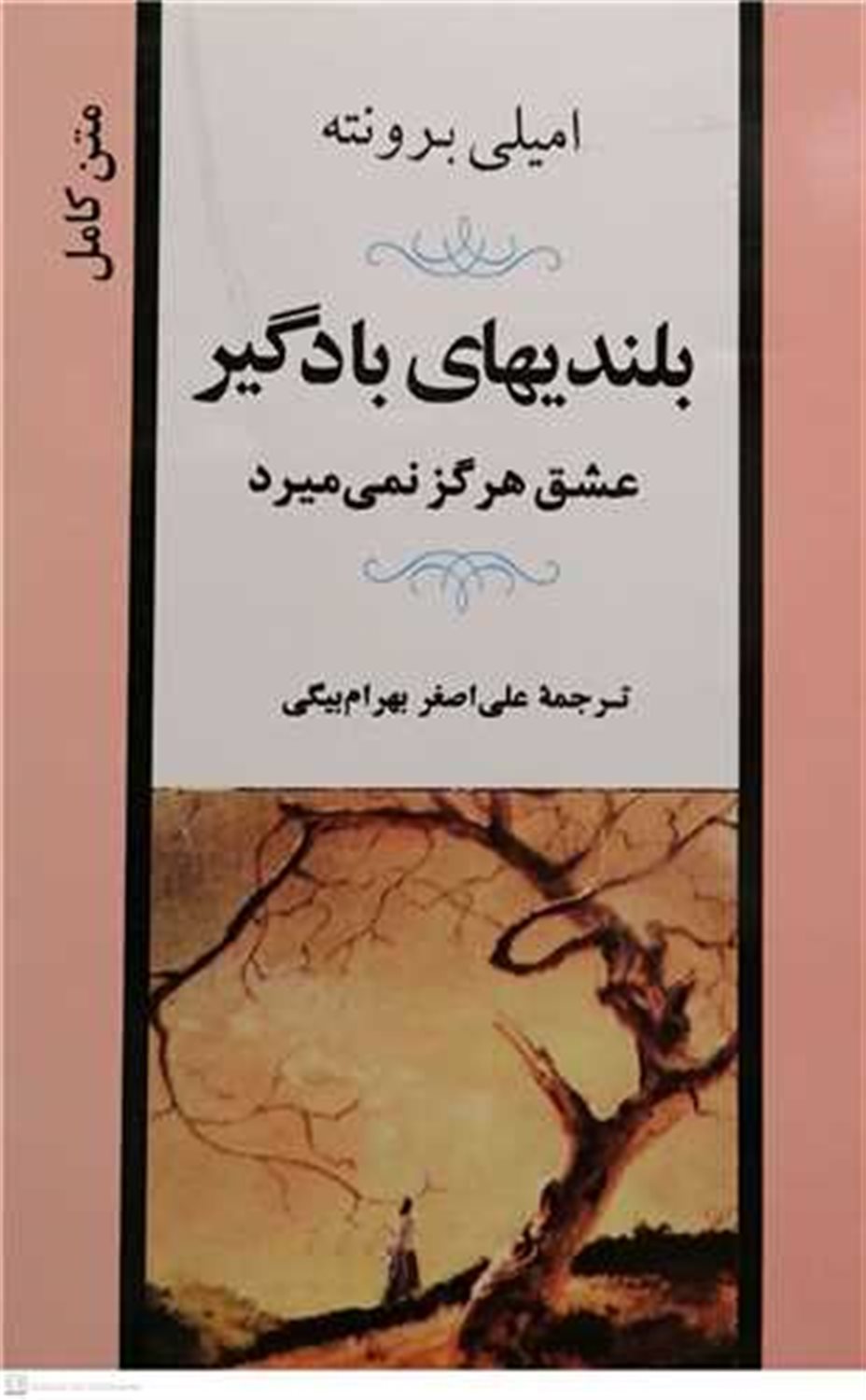 بلندی های بادگیر 