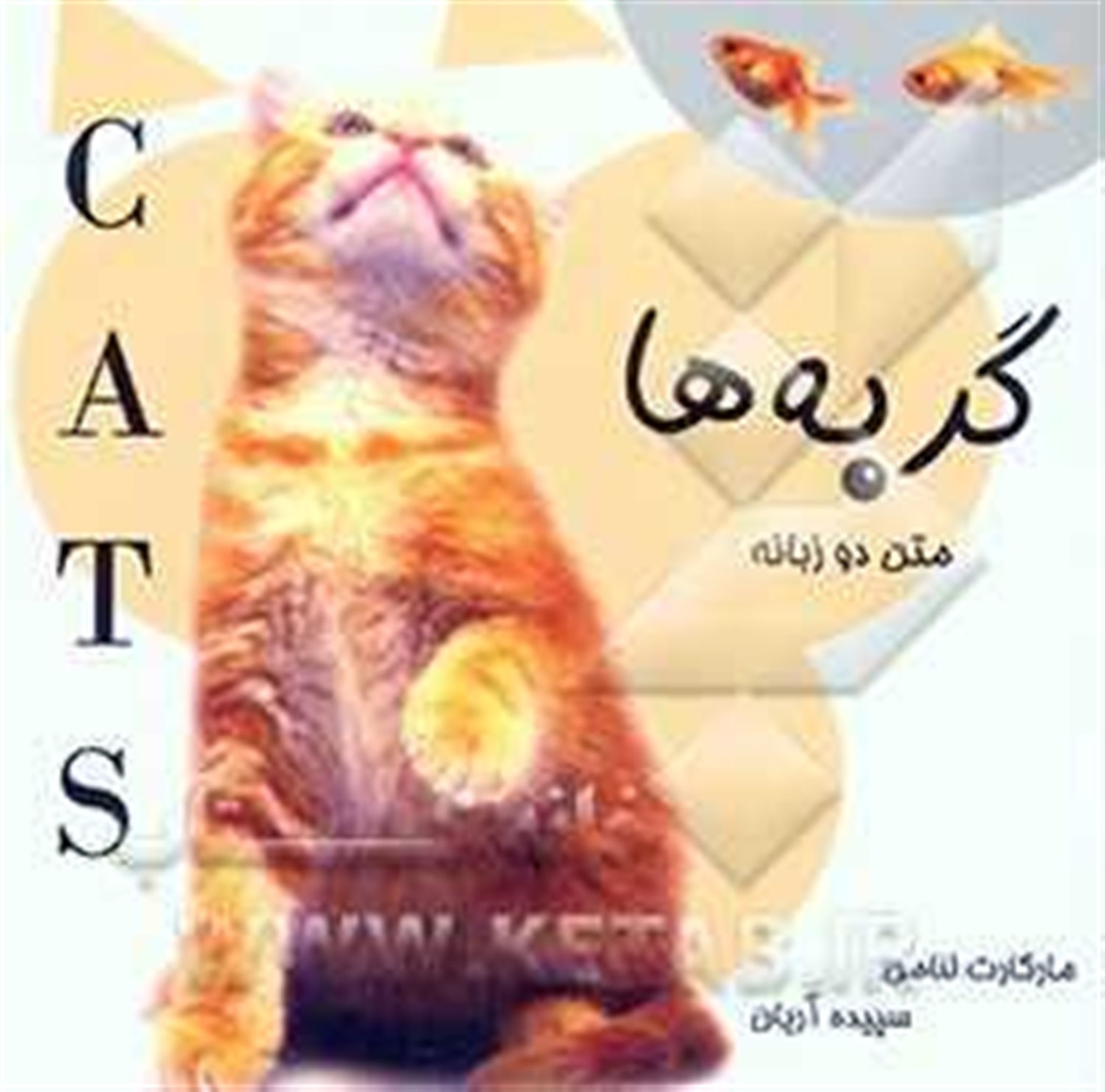 گربه ها