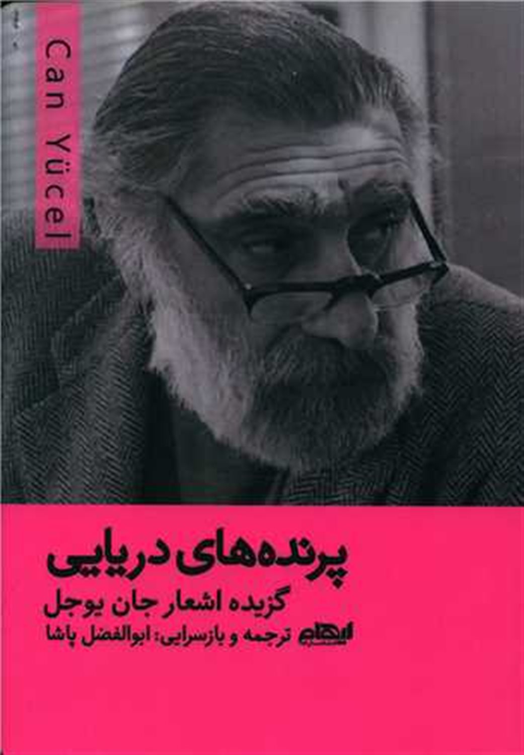 پرنده های دریایی 