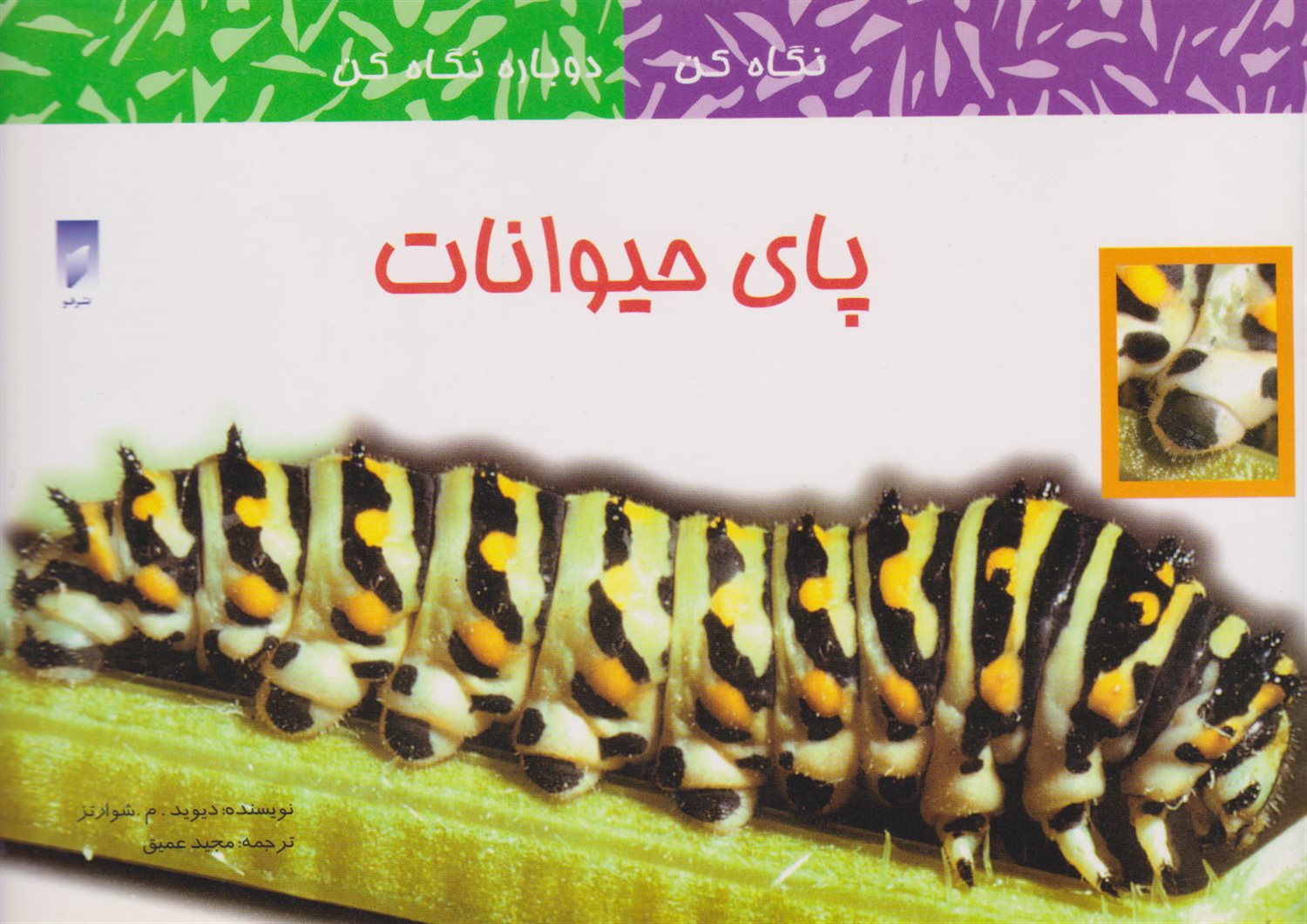  پای حیوانات