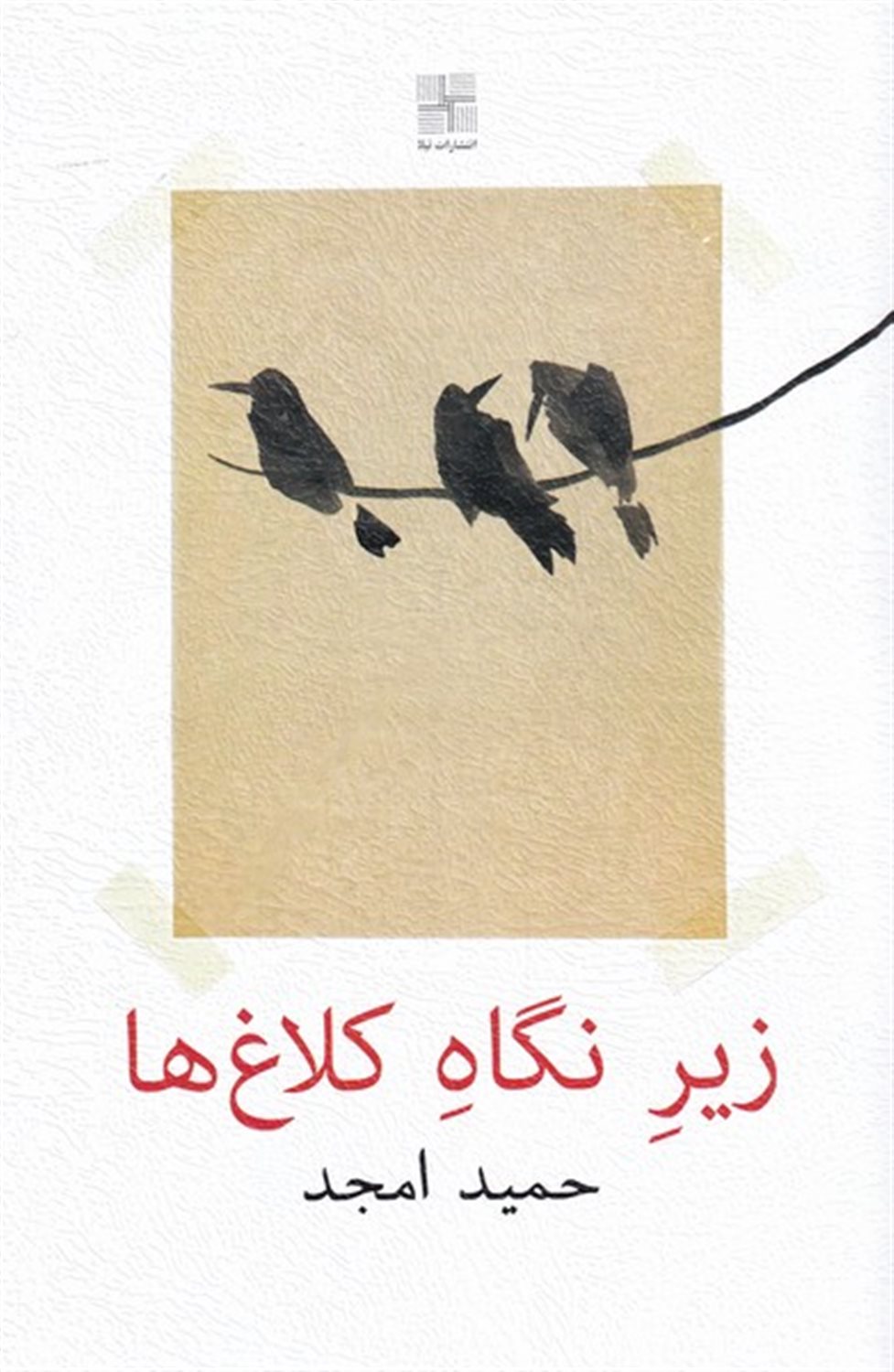 زیر نگاه کلاغ ها 